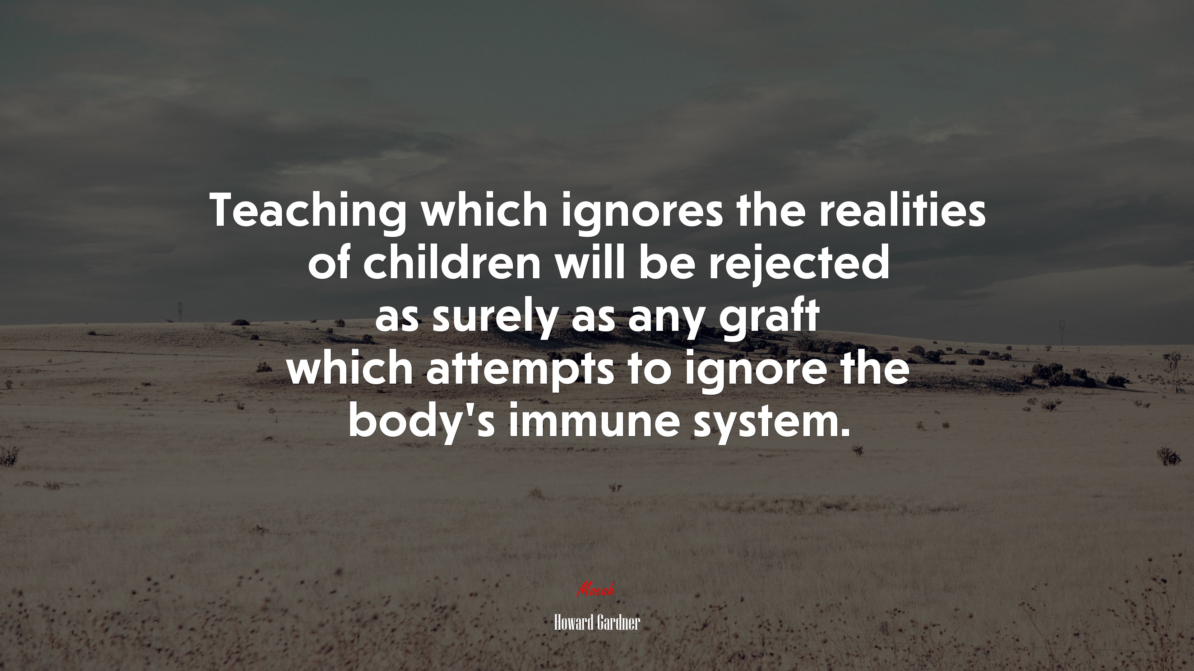 Teaching which ignores the realities of children will be rejected as surely as any graft which attempts to ignore the body’s immune system. | Howard Gardner quote HD Wallpaper