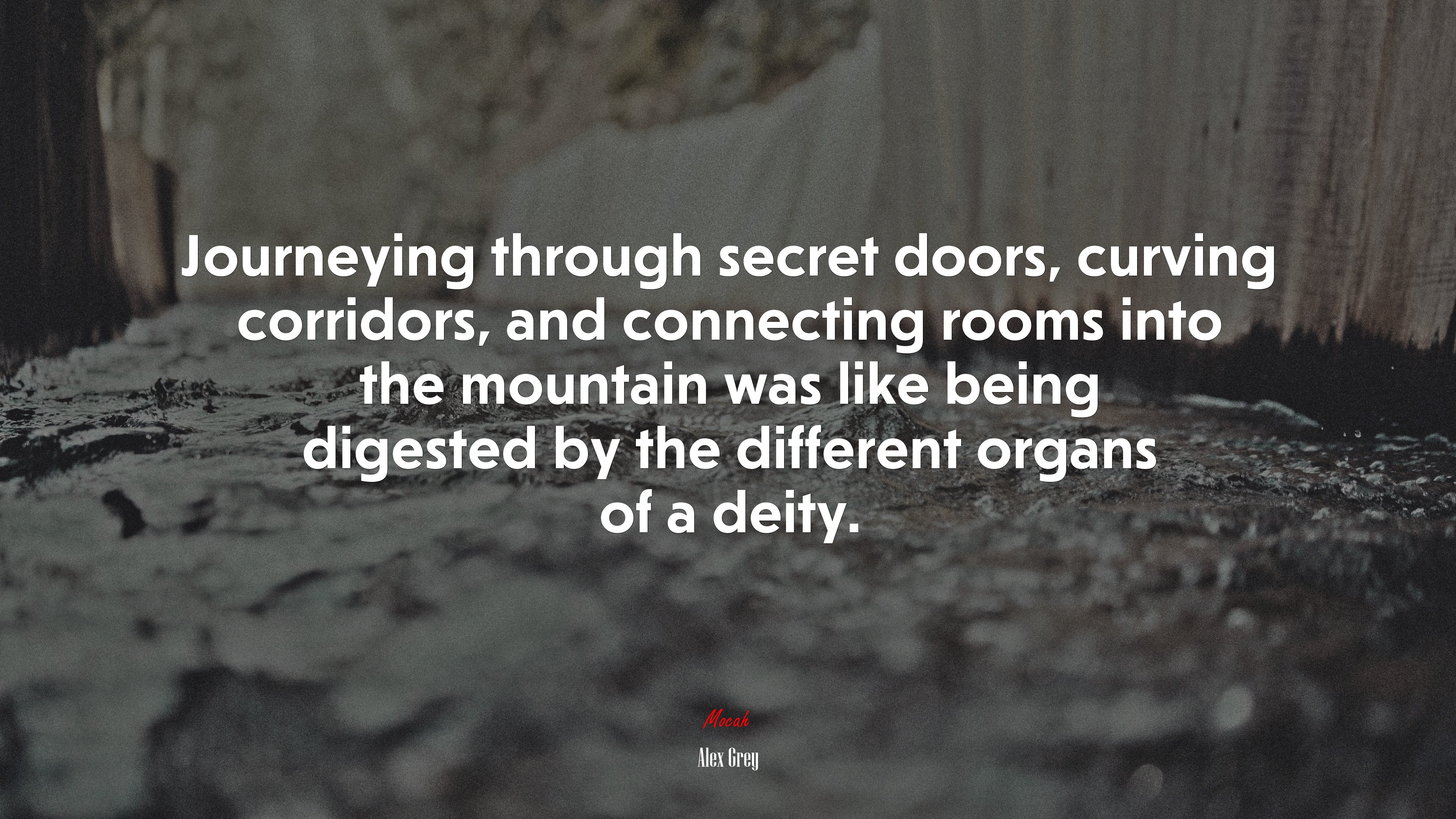 Journeying through secret doors, curving corridors, and connecting rooms into the mountain was like being digested by the different organs of a deity. | Alex Grey quote HD Wallpaper