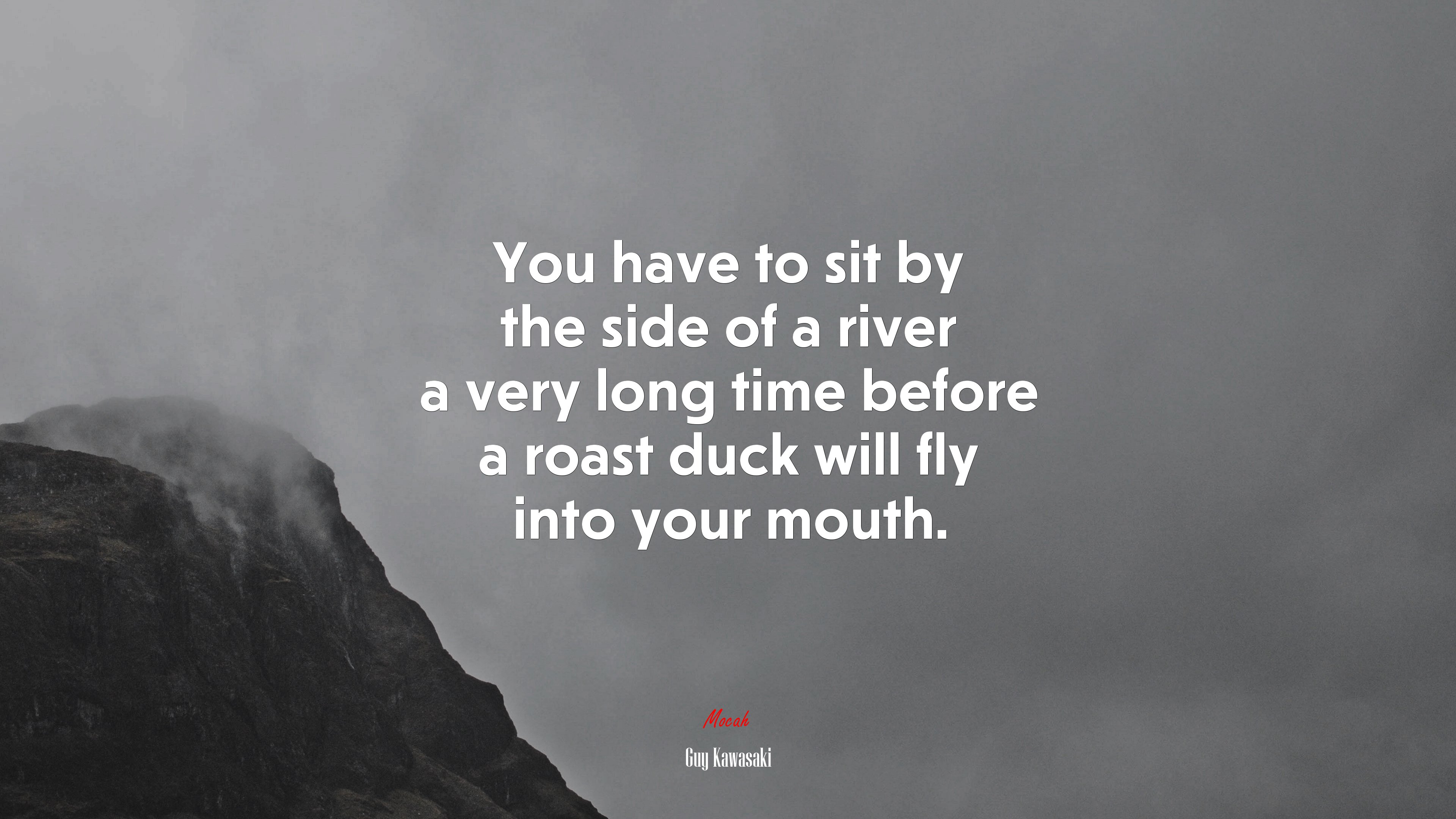 You have to sit by the side of a river a very long time before a roast duck will fly into your mouth. | Guy Kawasaki quote HD Wallpaper