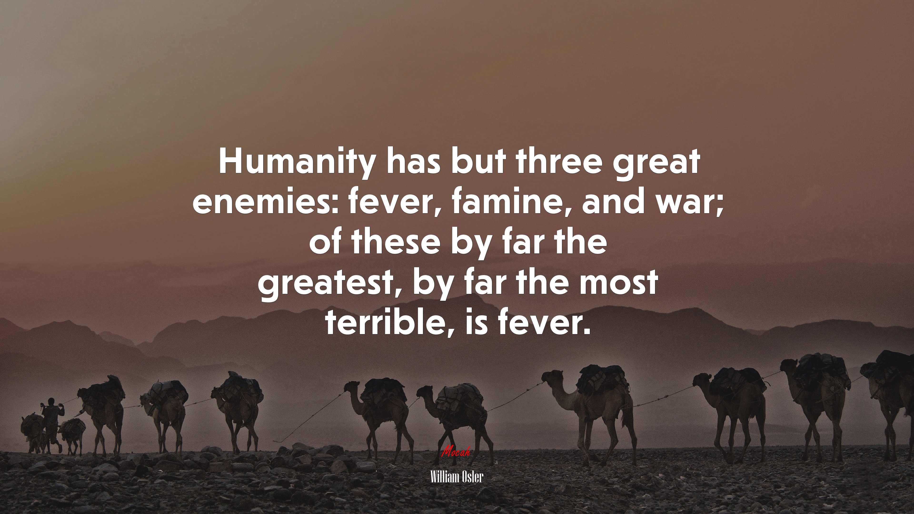 Humanity has but three great enemies: fever, famine, and war; of these by far the greatest, by far the most terrible, is fever. | William Osler quote HD Wallpaper