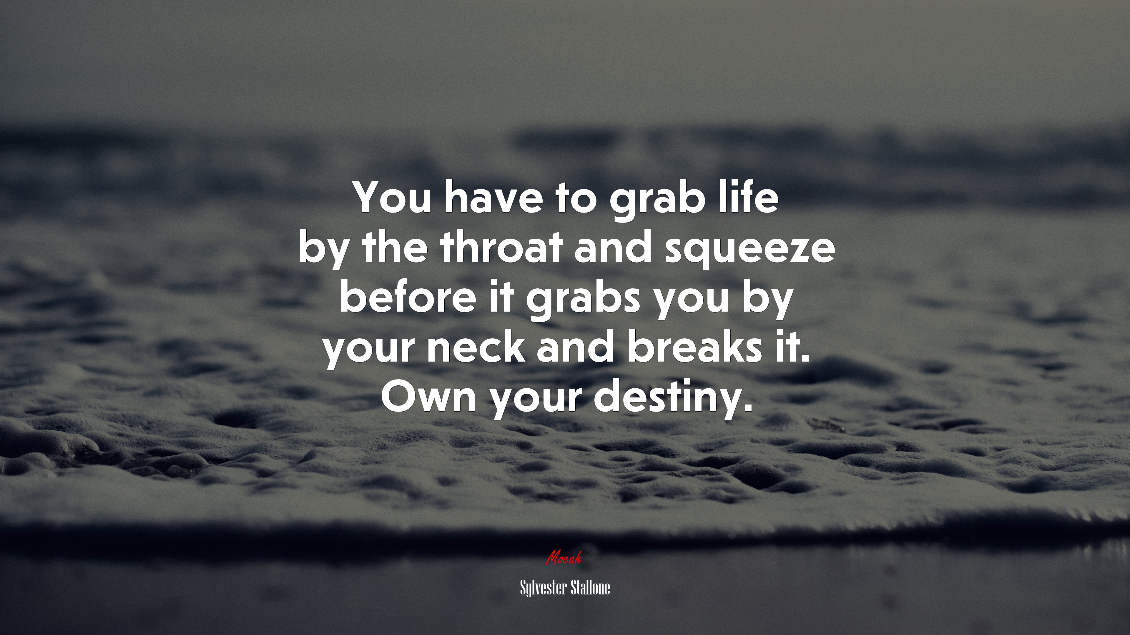 You have to grab life by the throat and squeeze before it grabs you by your neck and breaks it. Own your destiny. | Sylvester Stallone quote HD Wallpaper