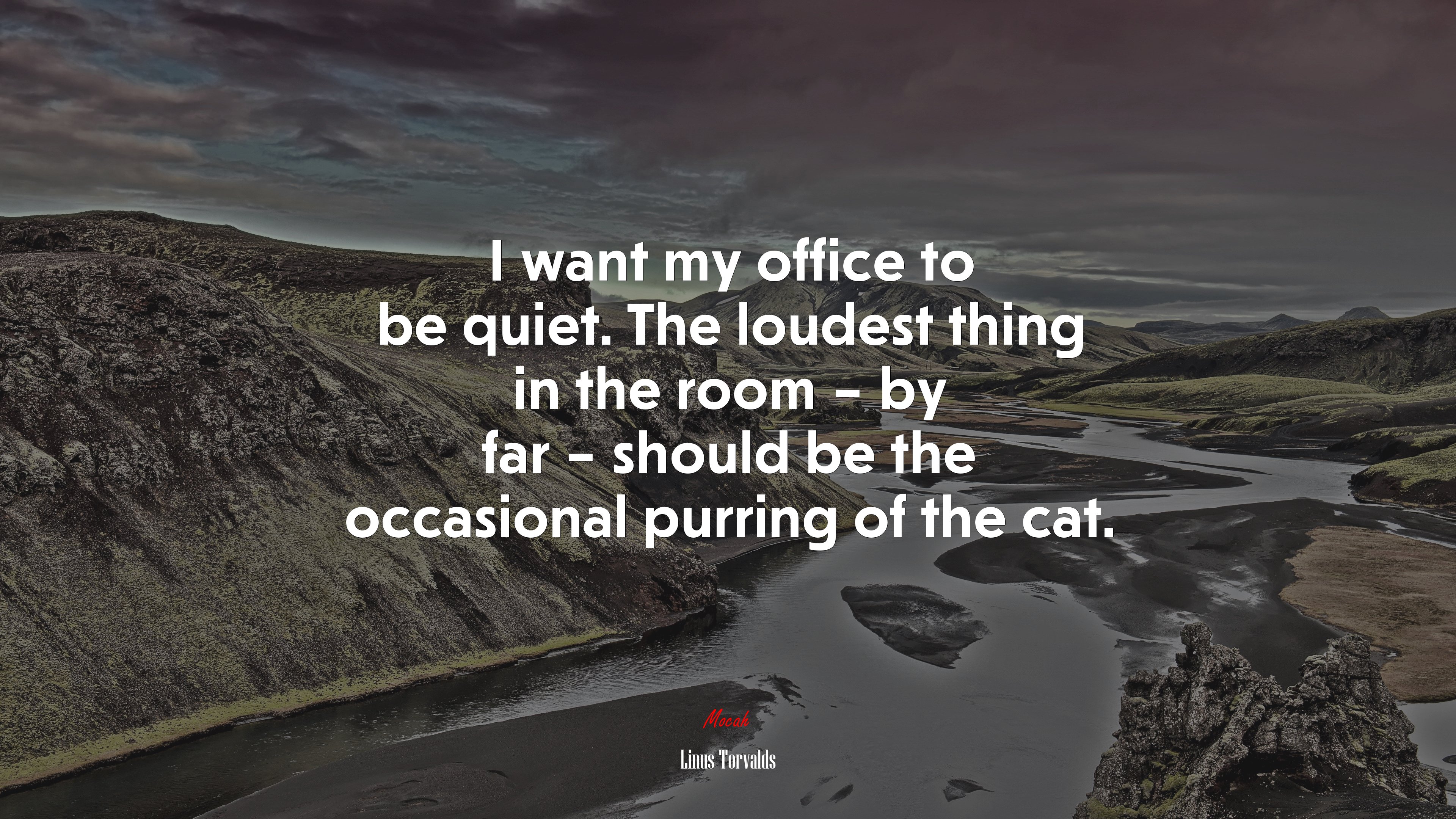 I want my office to be quiet. The loudest thing in the room – by far – should be the occasional purring of the cat. | Linus Torvalds quote HD Wallpaper