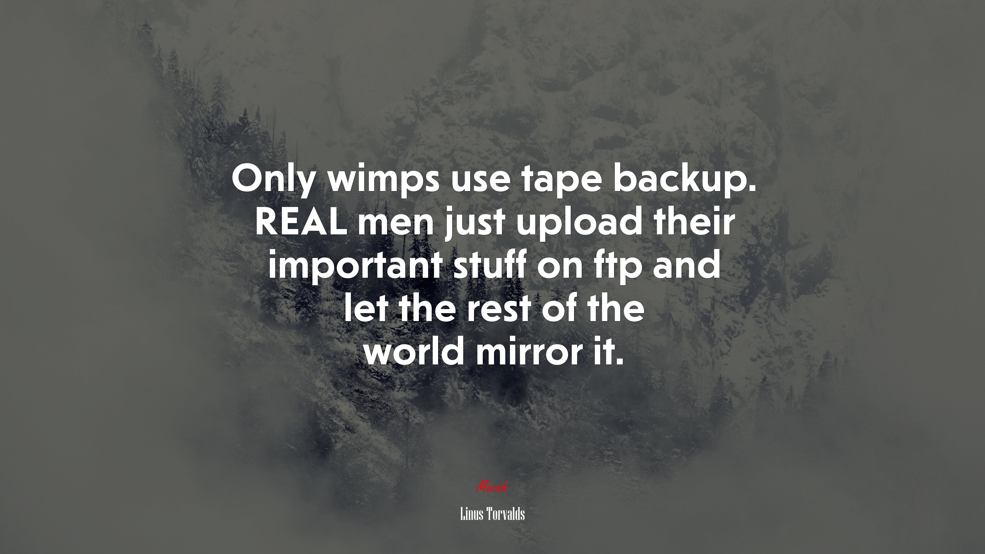 Only wimps use tape backup. REAL men just upload their important stuff on ftp and let the rest of the world mirror it. | Linus Torvalds quote HD Wallpaper