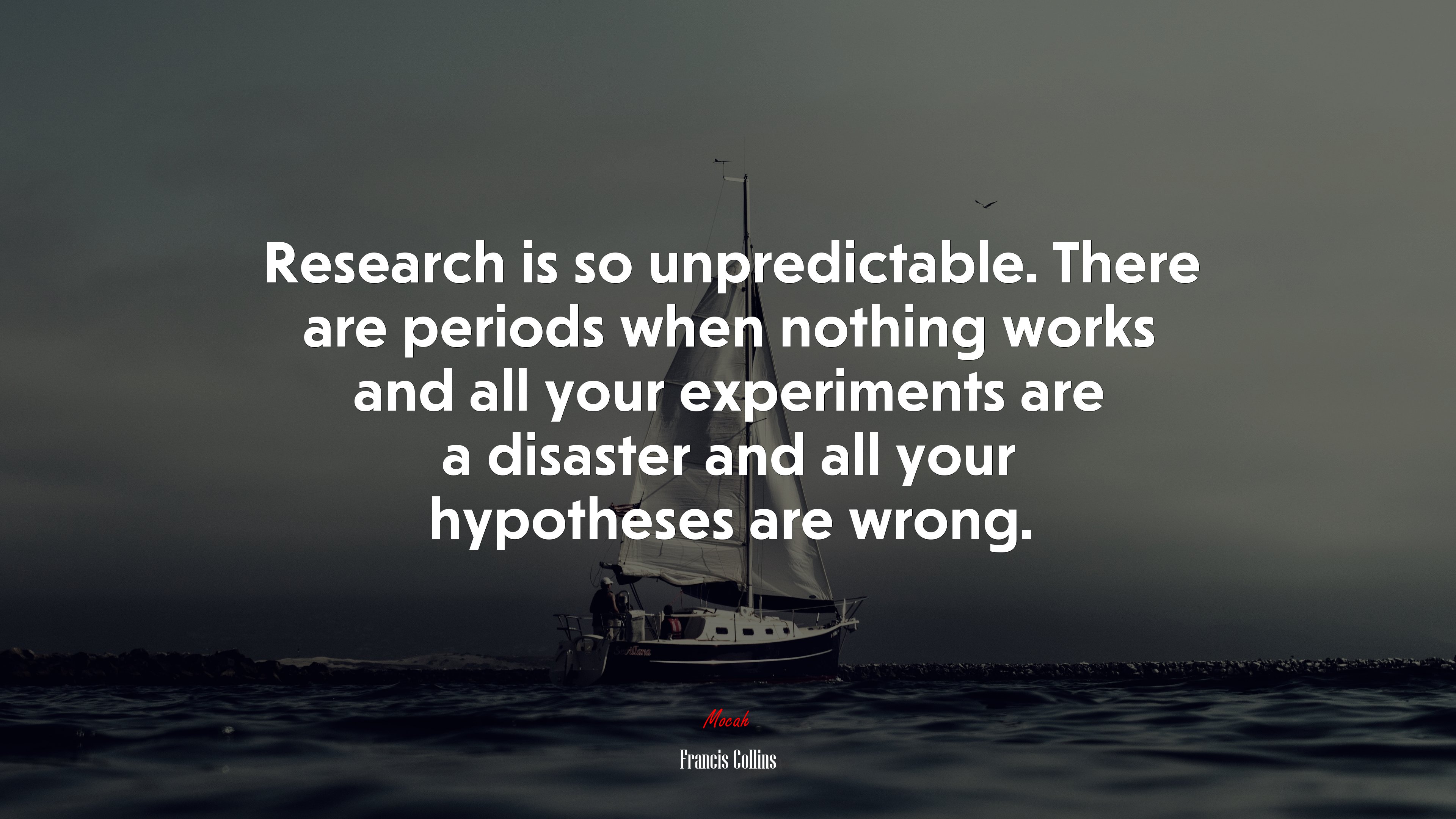 Research is so unpredictable. There are periods when nothing works and all your experiments are a disaster and all your hypotheses are wrong. | Francis Collins quote HD Wallpaper