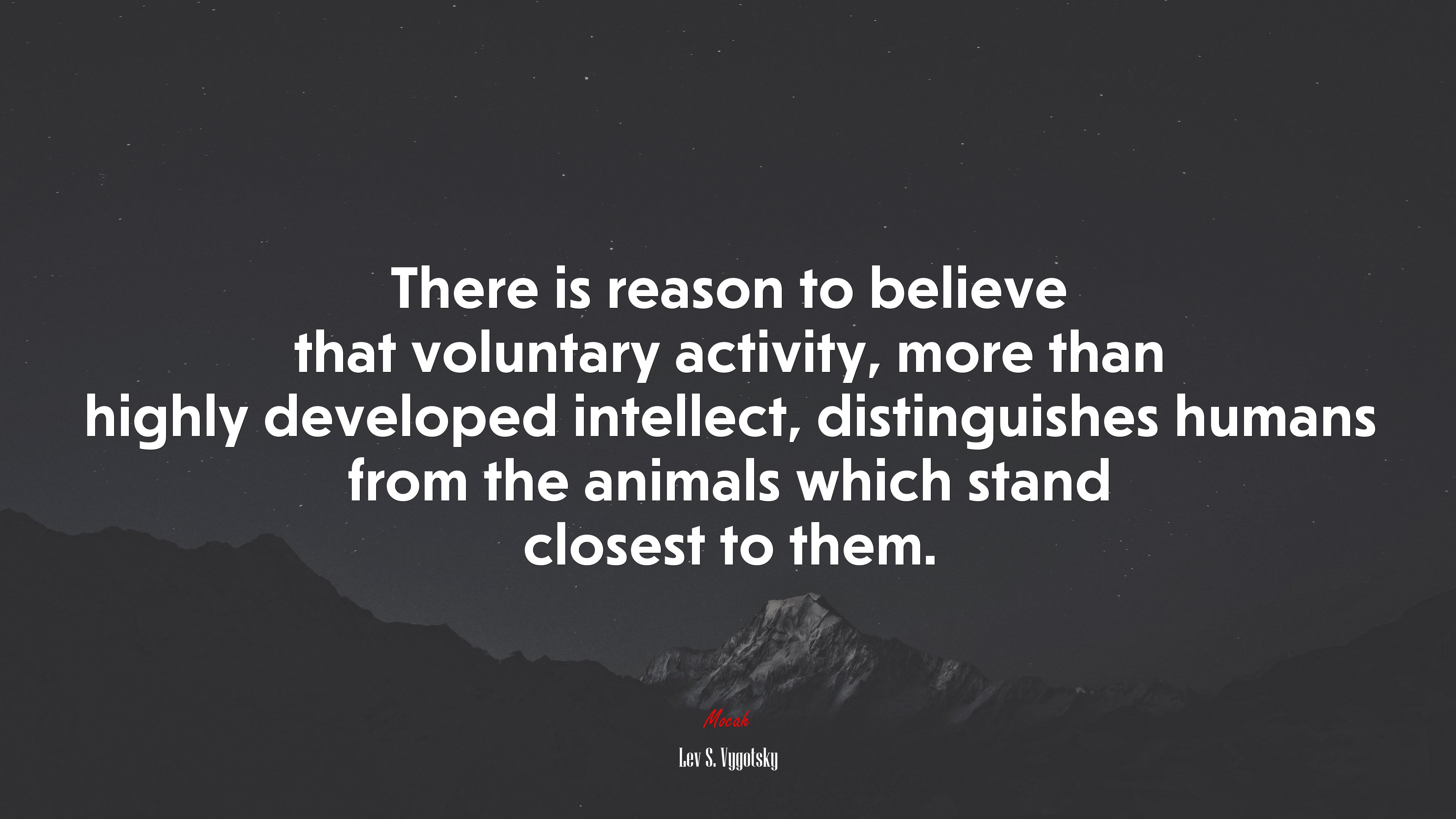 There is reason to believe that voluntary activity, more than highly developed intellect, distinguishes humans from the animals which stand closest to them. | Lev S. Vygotsky quote HD Wallpaper