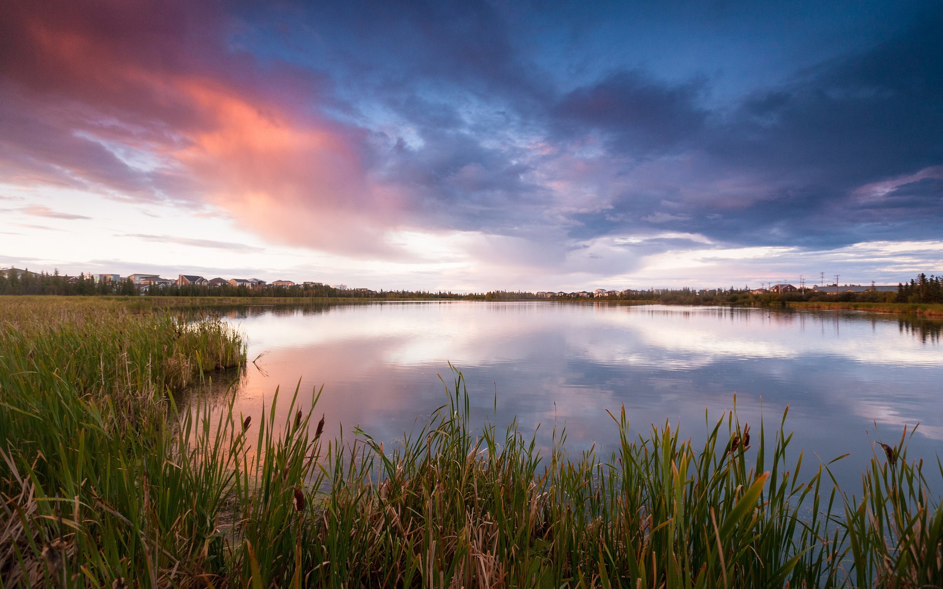 Sunset over a calm lake with reeds and distant houses HD Wallpaper