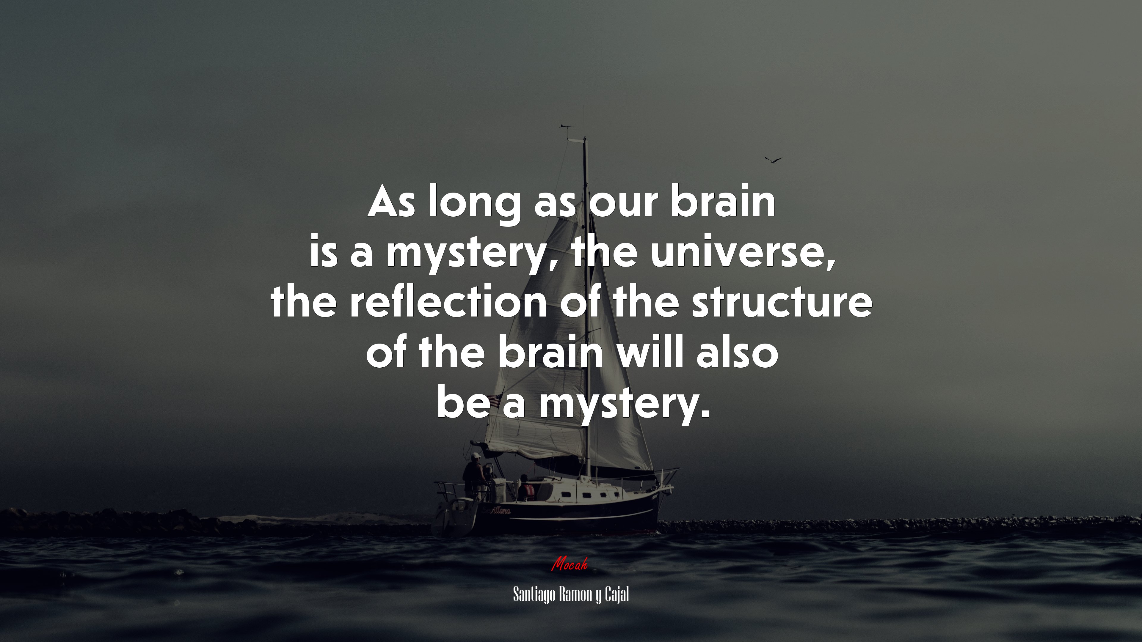 As long as our brain is a mystery, the universe, the reflection of the structure of the brain will also be a mystery. | Santiago Ramón y Cajal quote HD Wallpaper