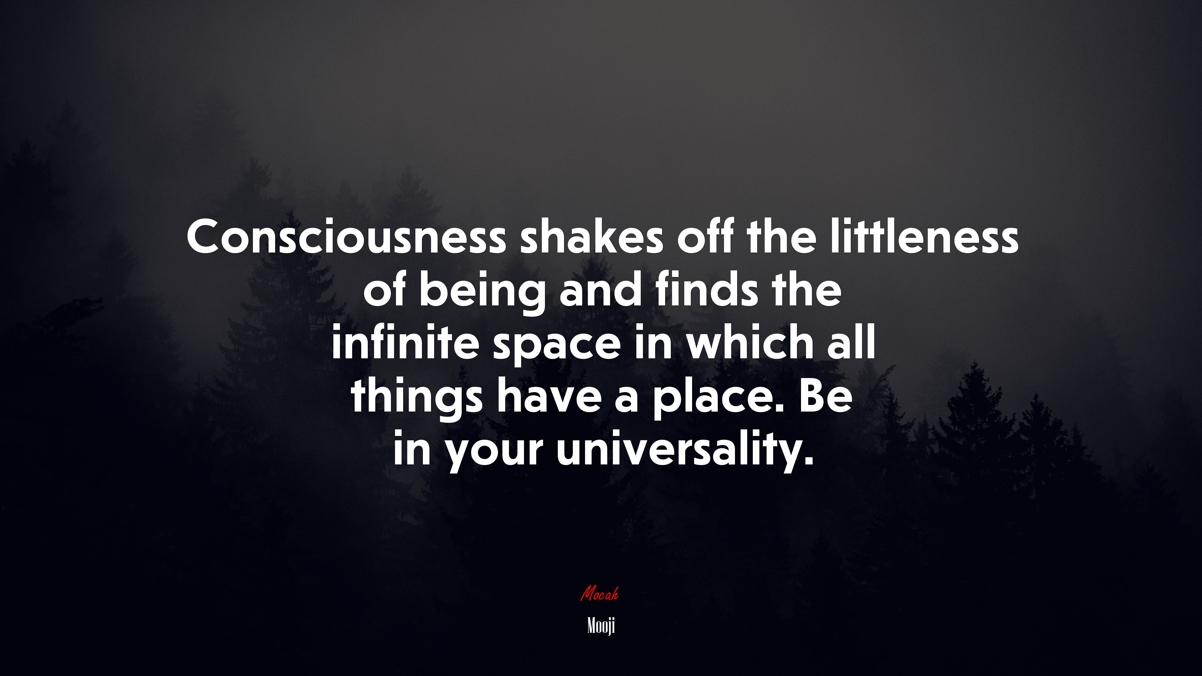 Consciousness shakes off the littleness of being and finds the infinite space in which all things have a place. Be in your universality. | Mooji quote HD Wallpaper