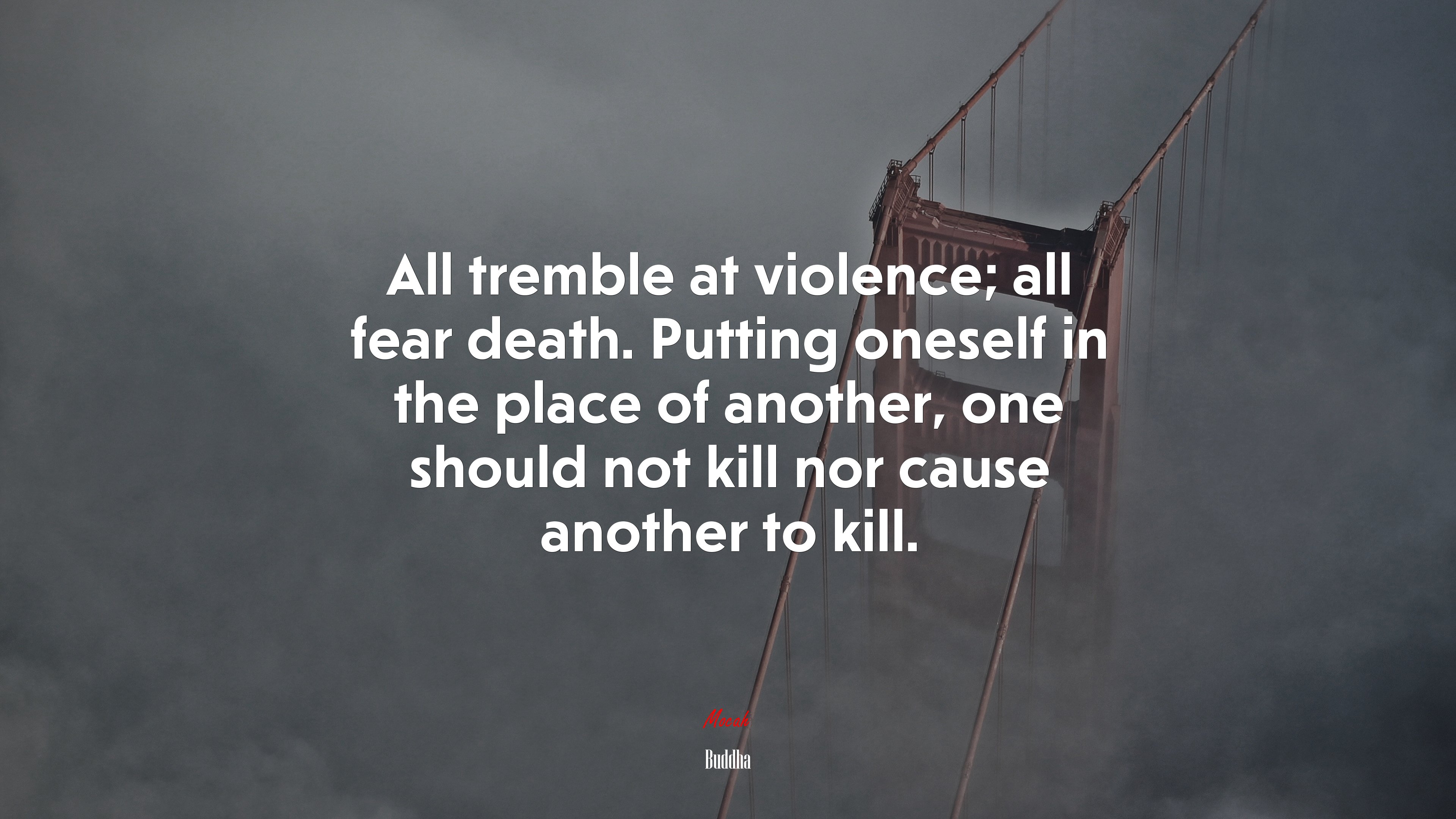 All tremble at violence; all fear death. Putting oneself in the place of another, one should not kill nor cause another to kill. | Buddha quote HD Wallpaper