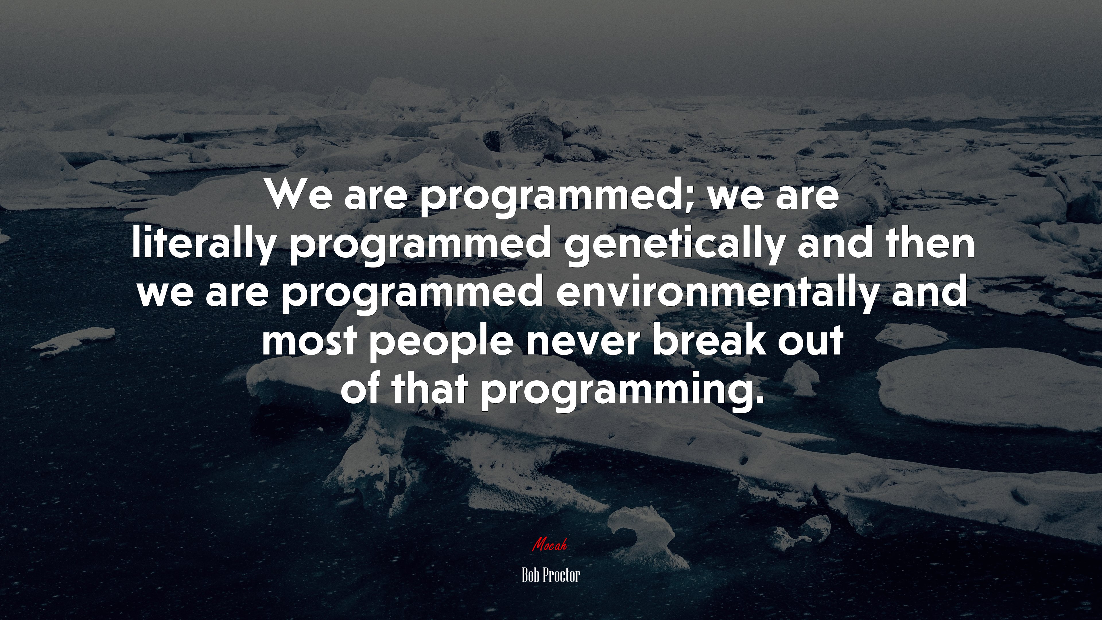 We are programmed; we are literally programmed genetically and then we are programmed environmentally and most people never break out of that programming. | Bob Proctor quote HD Wallpaper