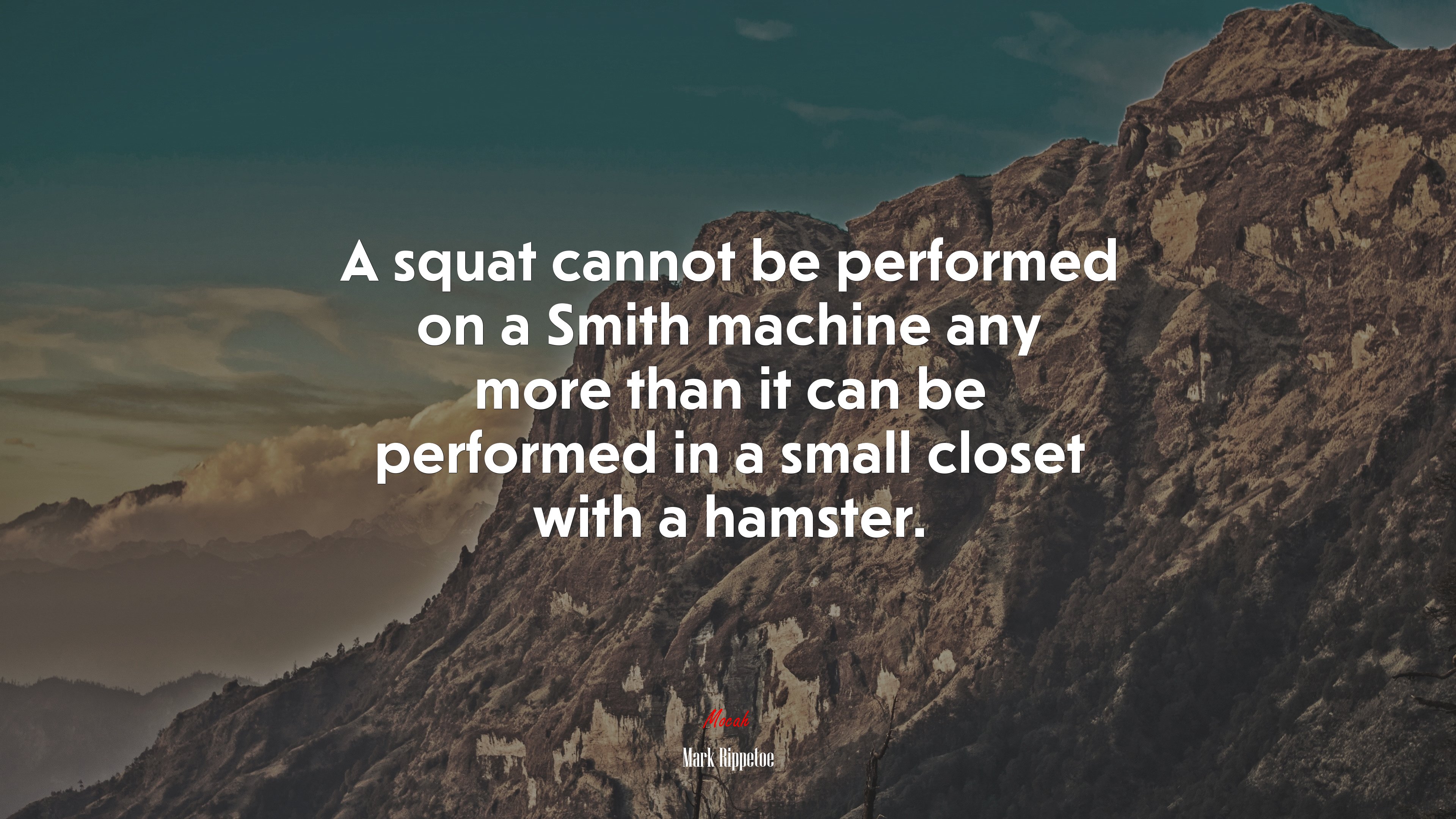 A squat cannot be performed on a Smith machine any more than it can be performed in a small closet with a hamster. | Mark Rippetoe quote HD Wallpaper