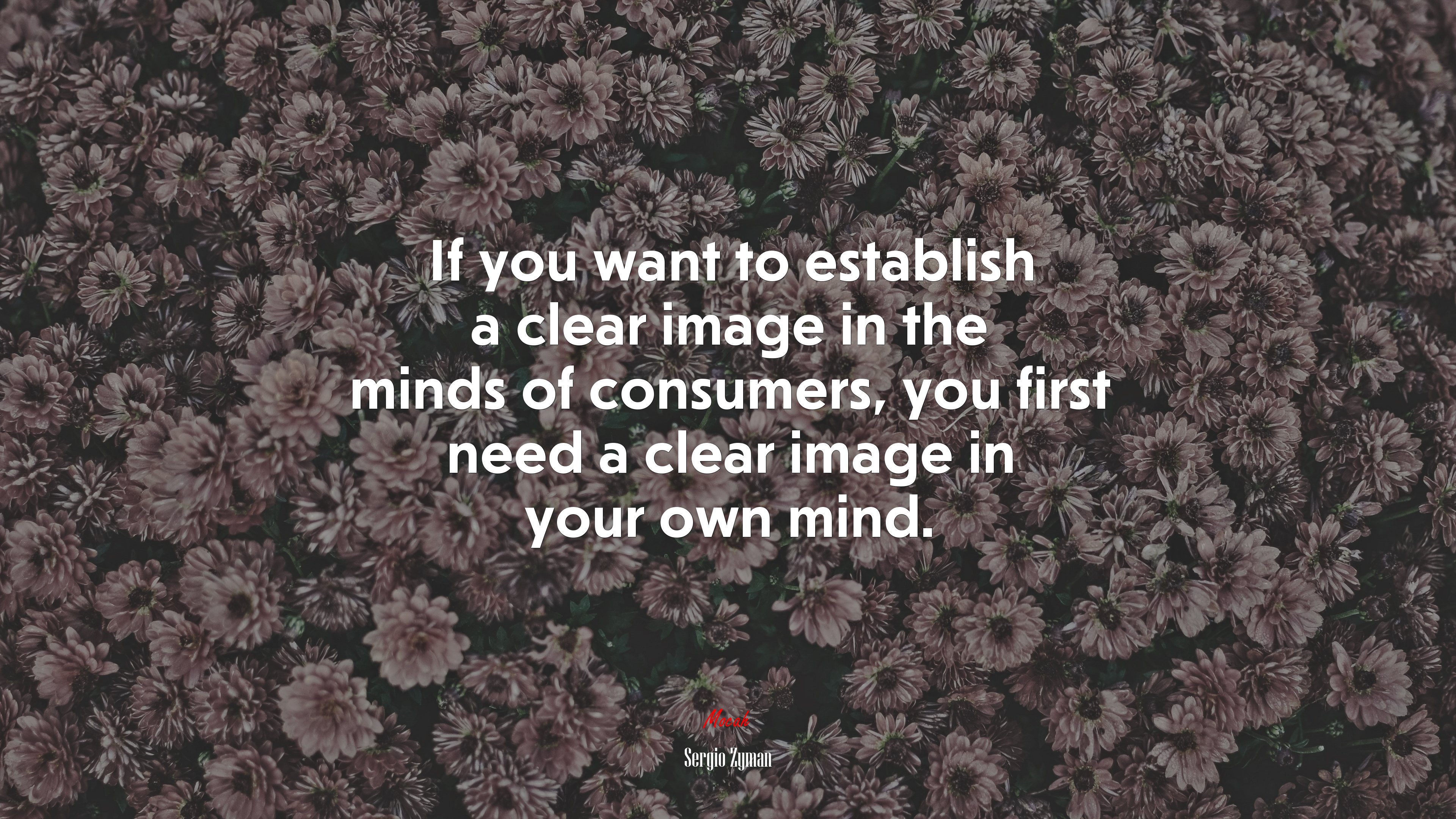 If you want to establish a clear image in the minds of consumers, you first need a clear image in your own mind. | Sergio Zyman quote HD Wallpaper
