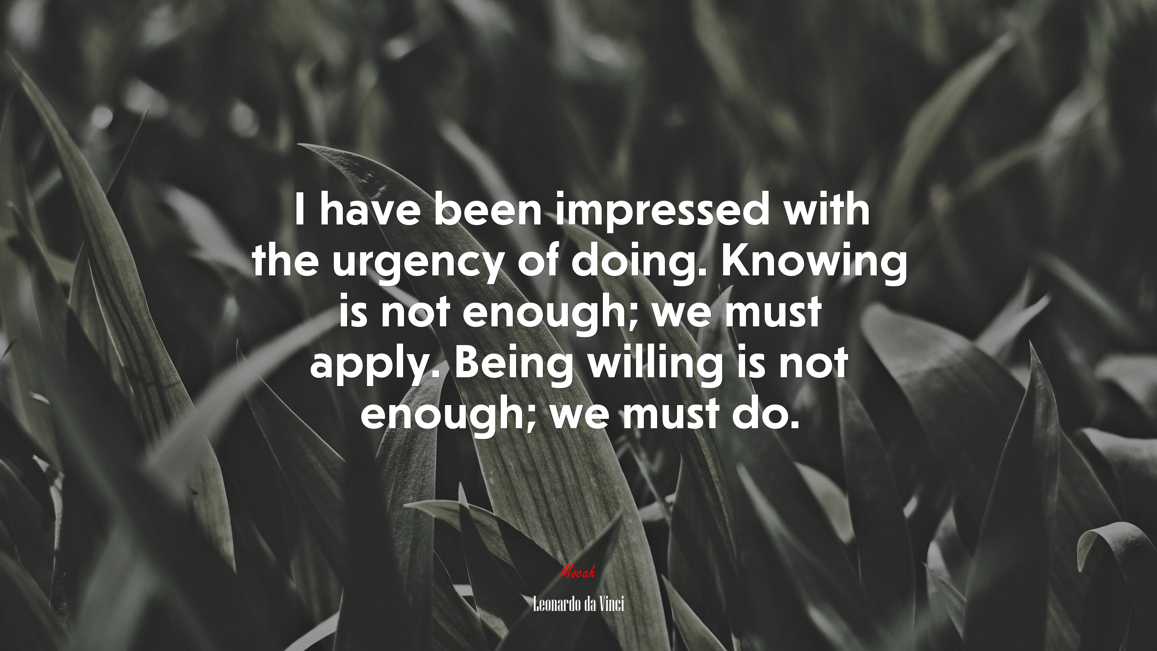 I have been impressed with the urgency of doing. Knowing is not enough; we must apply. Being willing is not enough; we must do. | Leonardo da Vinci quote HD Wallpaper