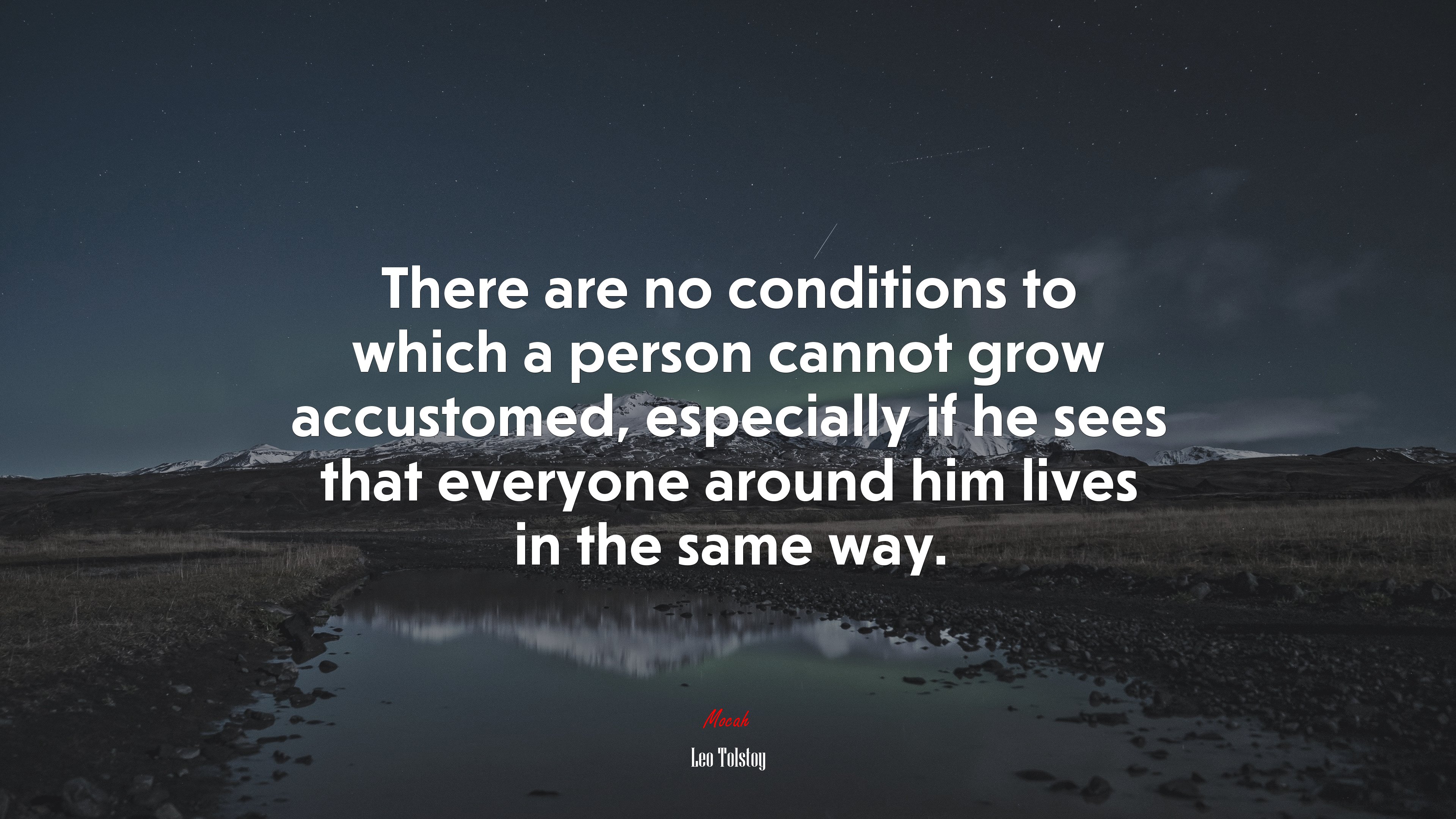 There are no conditions to which a person cannot grow accustomed, especially if he sees that everyone around him lives in the same way. | Leo Tolstoy quote HD Wallpaper