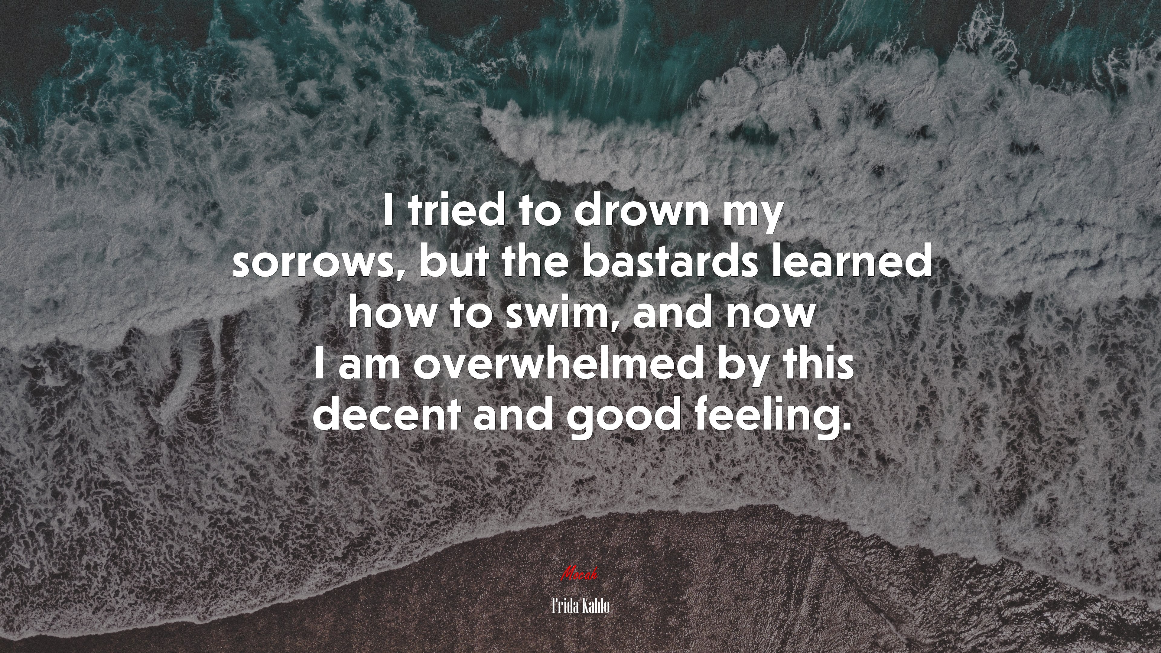 I tried to drown my sorrows, but the bastards learned how to swim, and now I am overwhelmed by this decent and good feeling. | Frida Kahlo quote HD Wallpaper