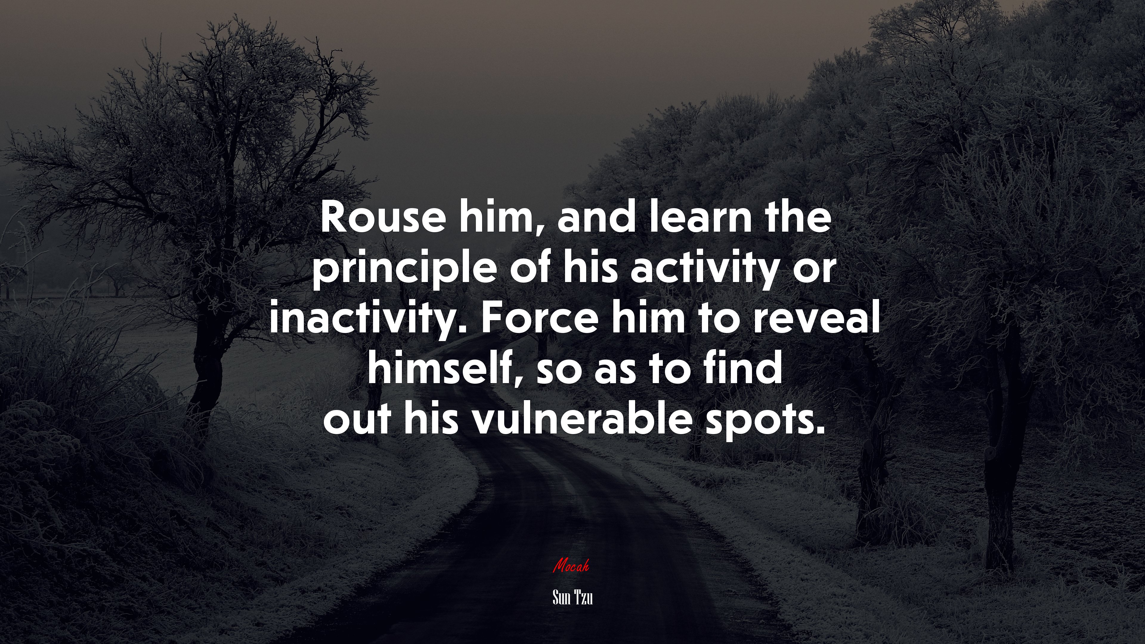 Rouse him, and learn the principle of his activity or inactivity. Force him to reveal himself, so as to find out his vulnerable spots. | Sun Tzu quote HD Wallpaper