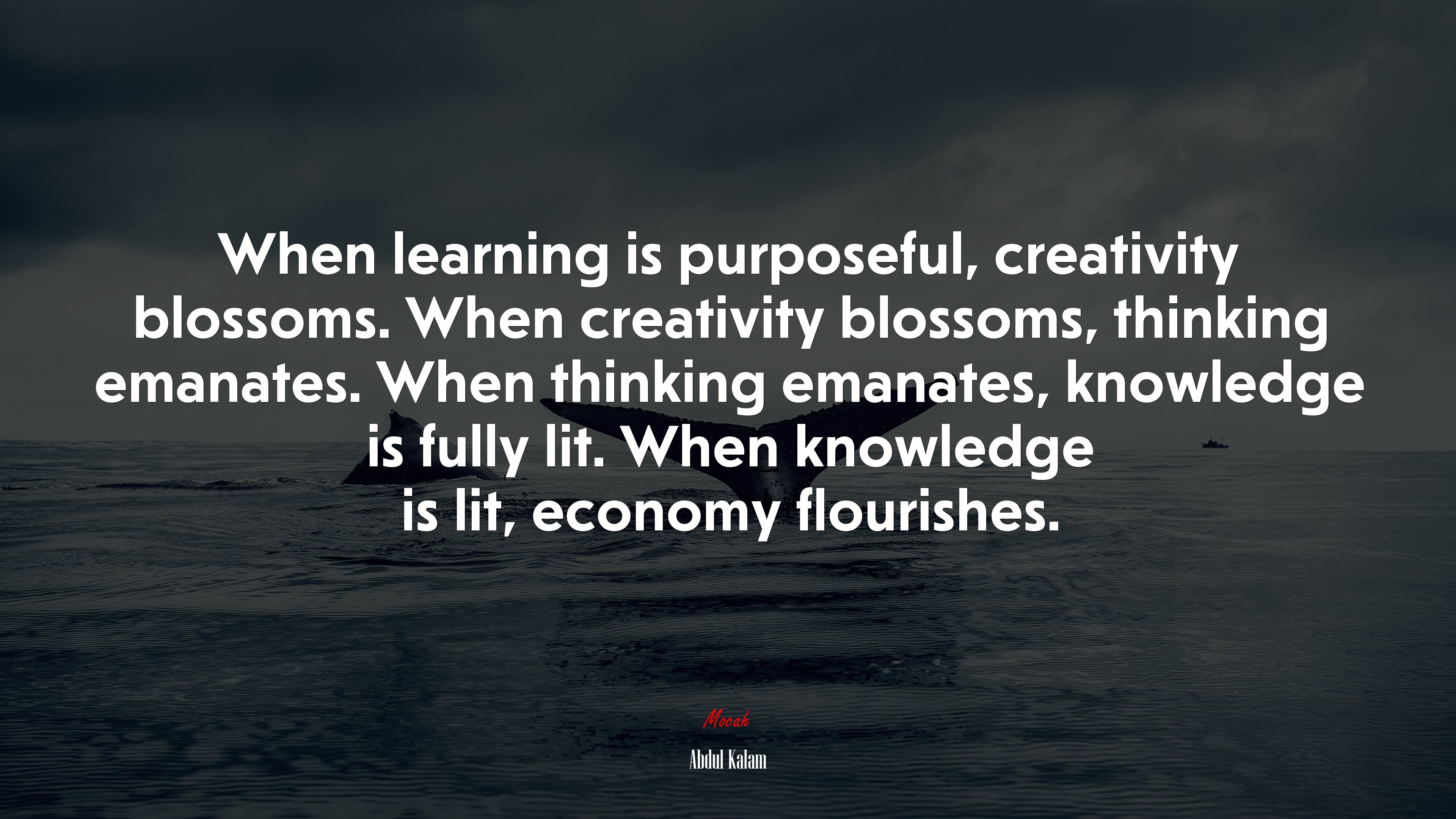 When learning is purposeful, creativity blossoms. When creativity blossoms, thinking emanates. When thinking emanates, knowledge is fully lit. When knowledge is lit, economy flourishes. | Abdul Kalam quote HD Wallpaper