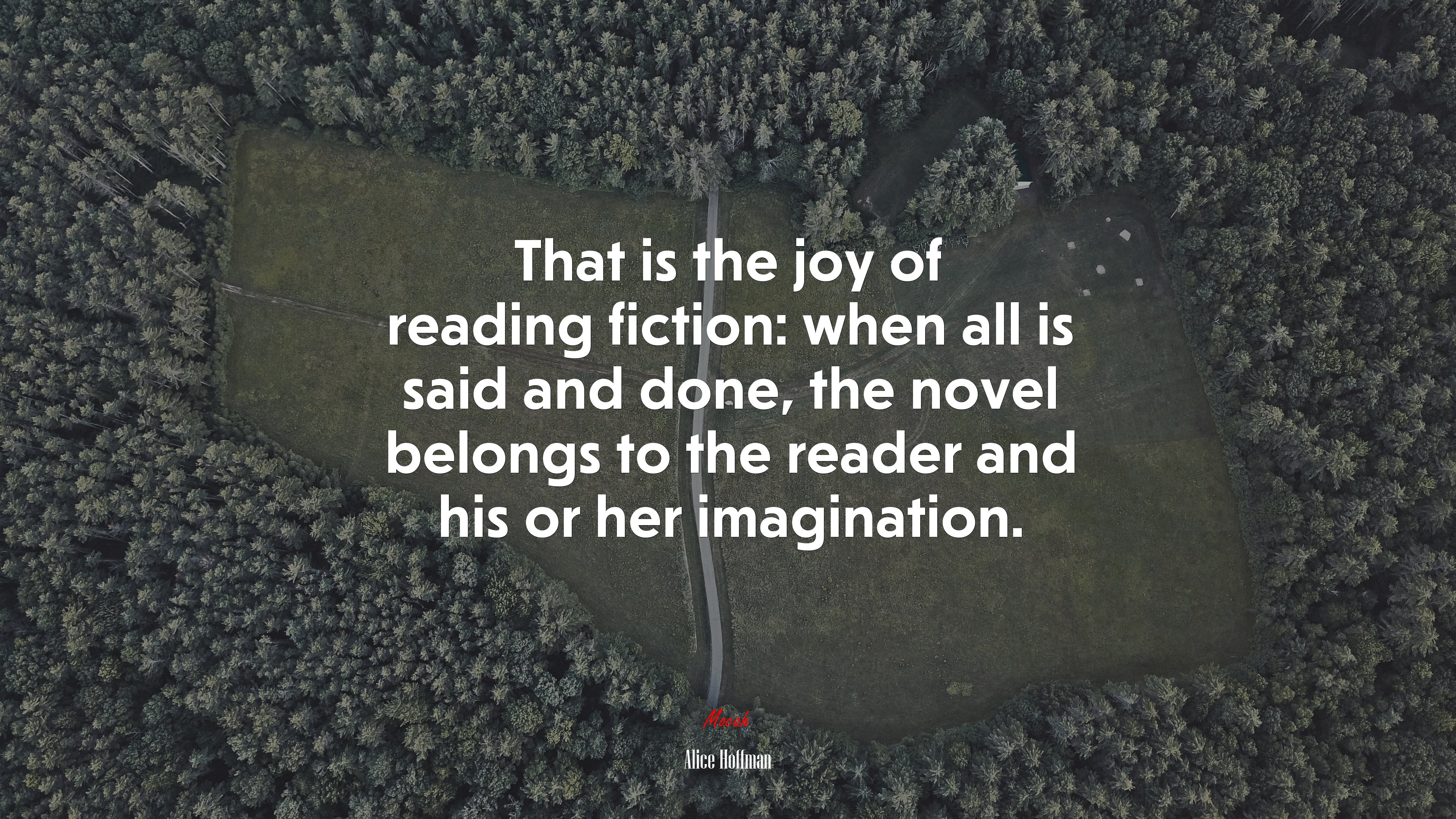 That is the joy of reading fiction: when all is said and done, the novel belongs to the reader and his or her imagination. | Alice Hoffman quote HD Wallpaper