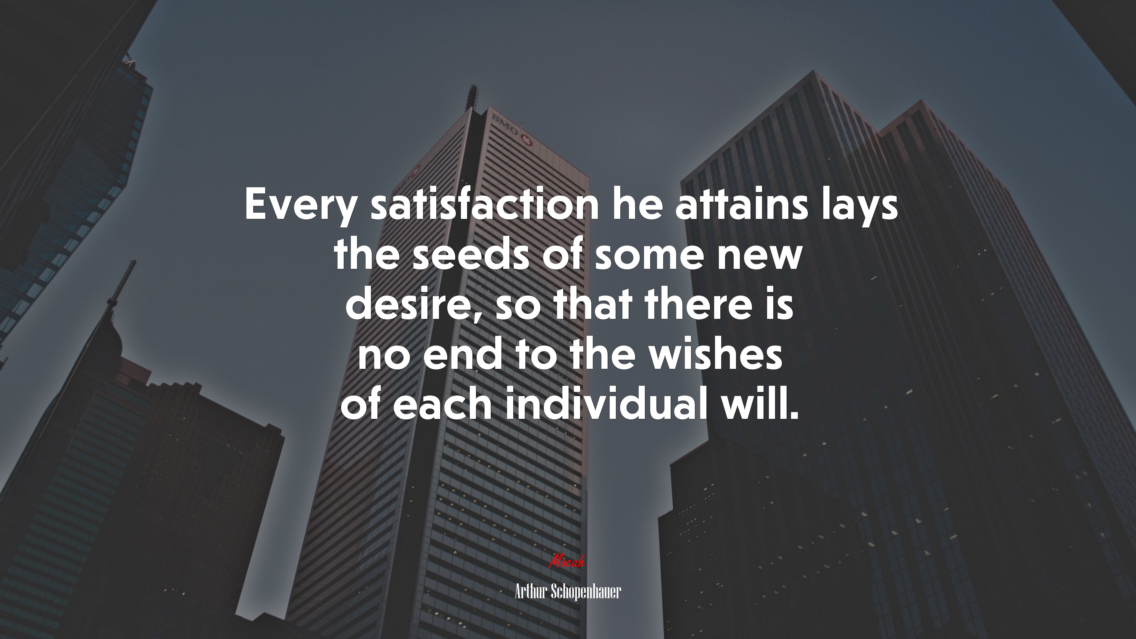 Every satisfaction he attains lays the seeds of some new desire, so that there is no end to the wishes of each individual will. | Arthur Schopenhauer quote HD Wallpaper