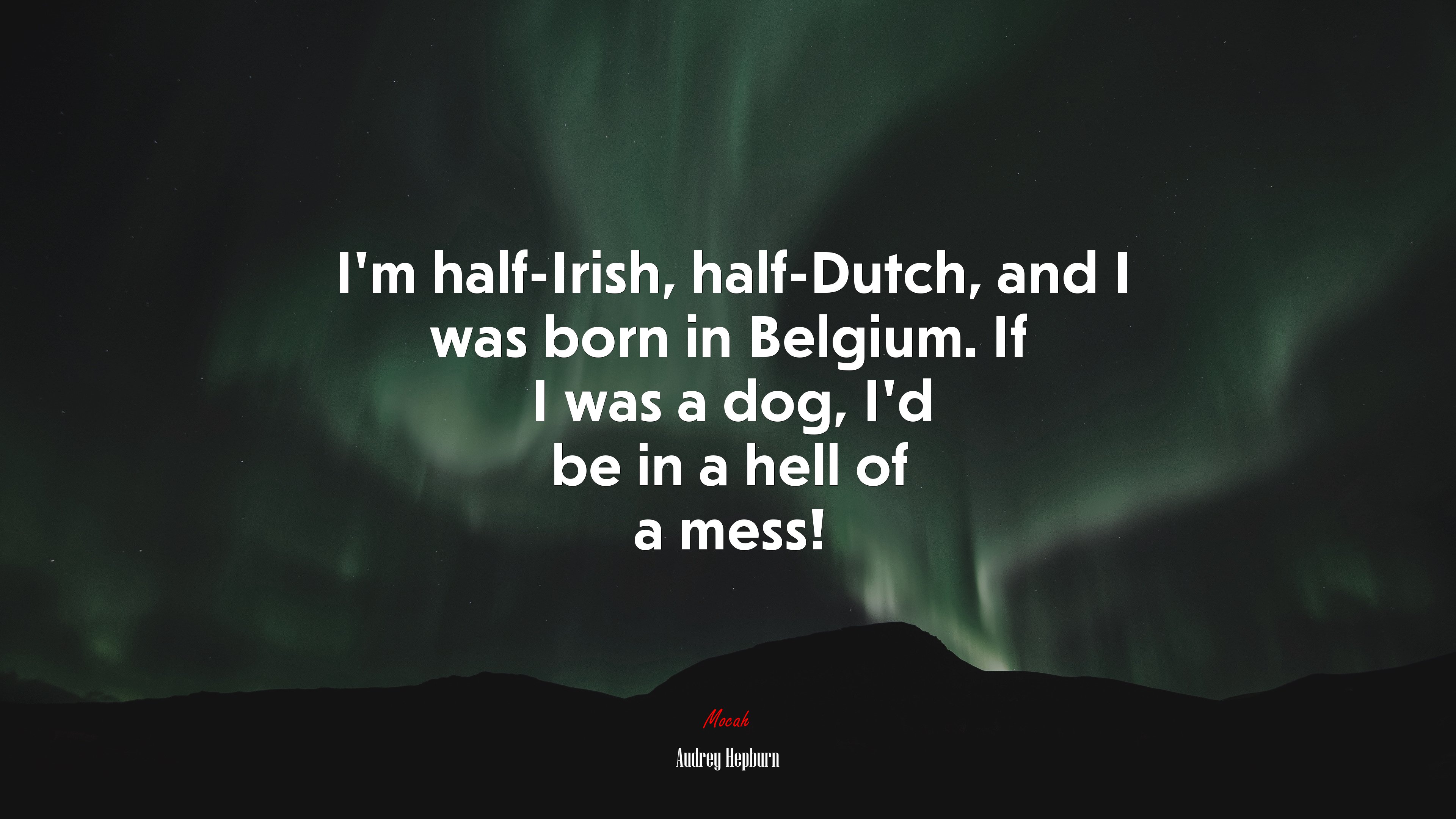 I’m half-Irish, half-Dutch, and I was born in Belgium. If I was a dog, I’d be in a hell of a mess! | Audrey Hepburn quote HD Wallpaper