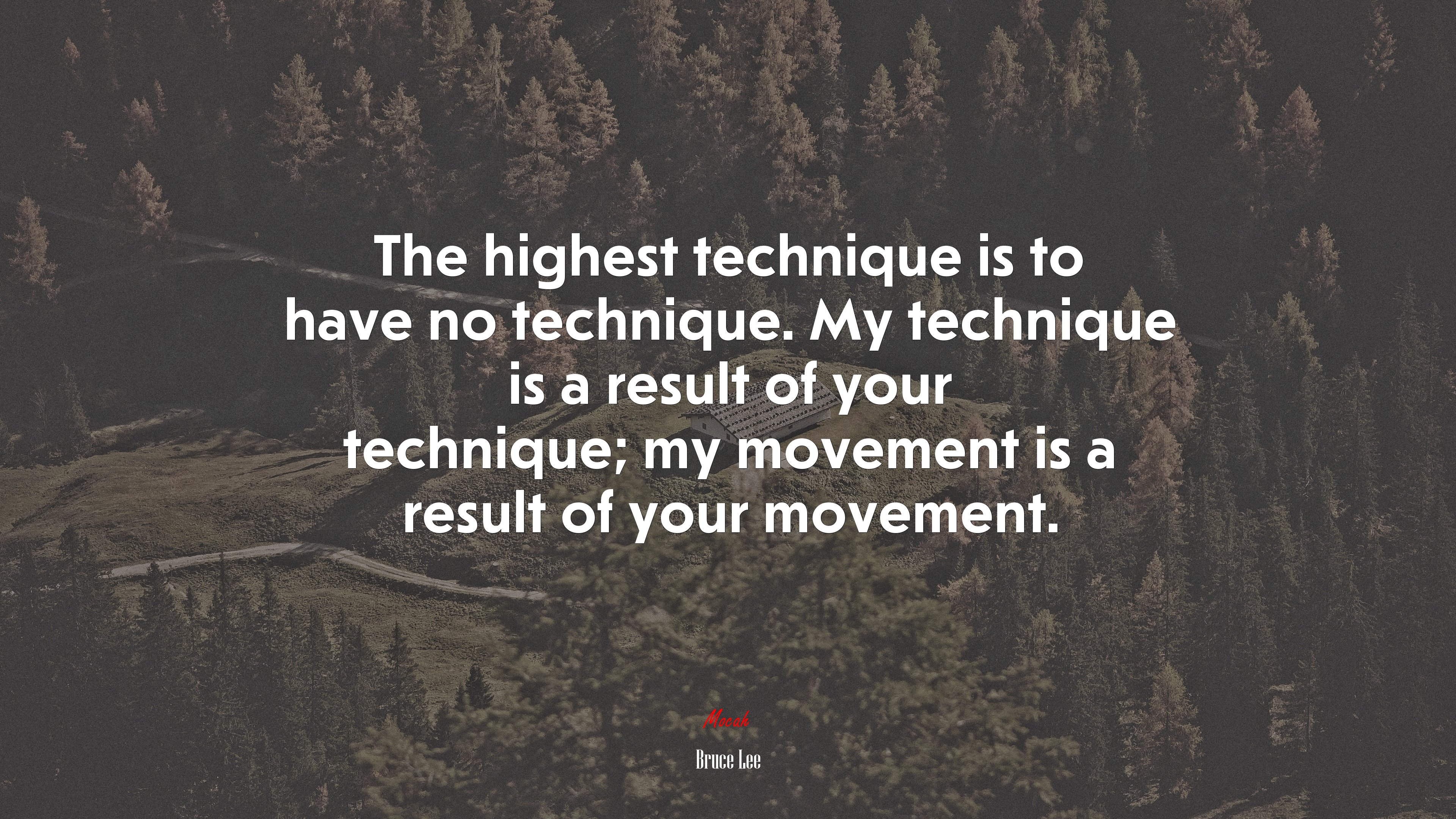 The highest technique is to have no technique. My technique is a result of your technique; my movement is a result of your movement. | Bruce Lee quote HD Wallpaper