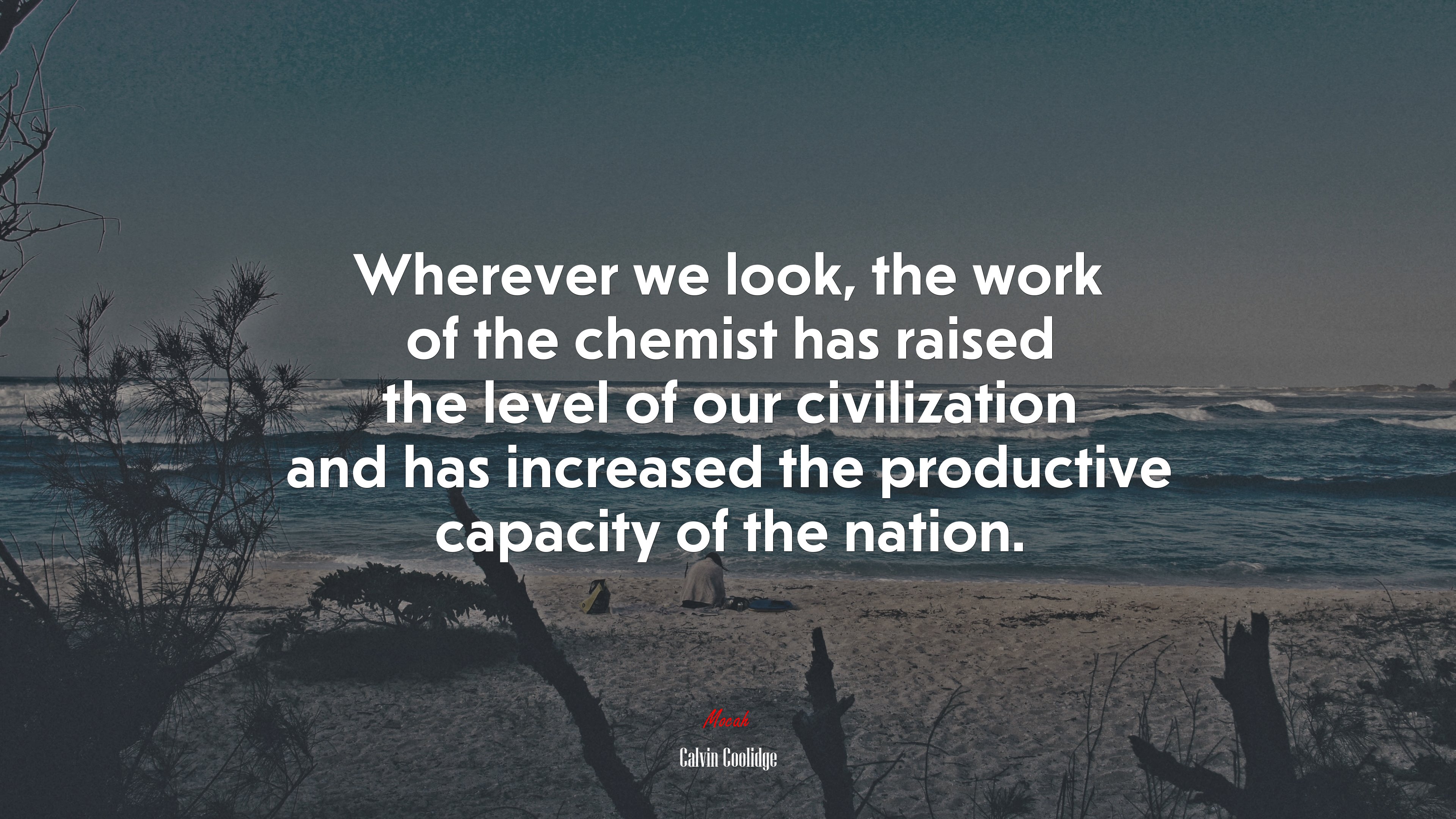 Wherever we look, the work of the chemist has raised the level of our civilization and has increased the productive capacity of the nation. | Calvin Coolidge quote HD Wallpaper