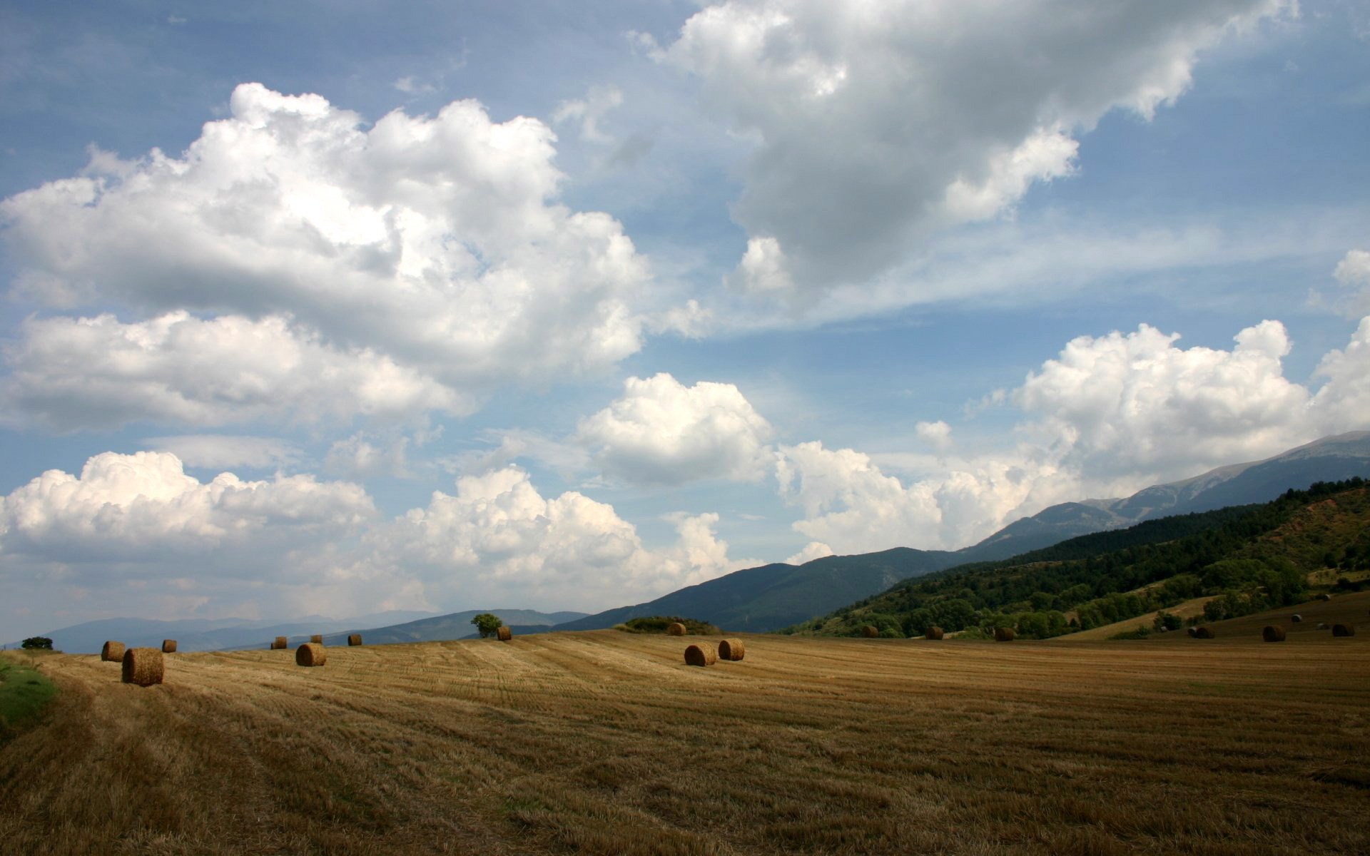 Hay bales in a field with mountains and clouds HD Wallpaper