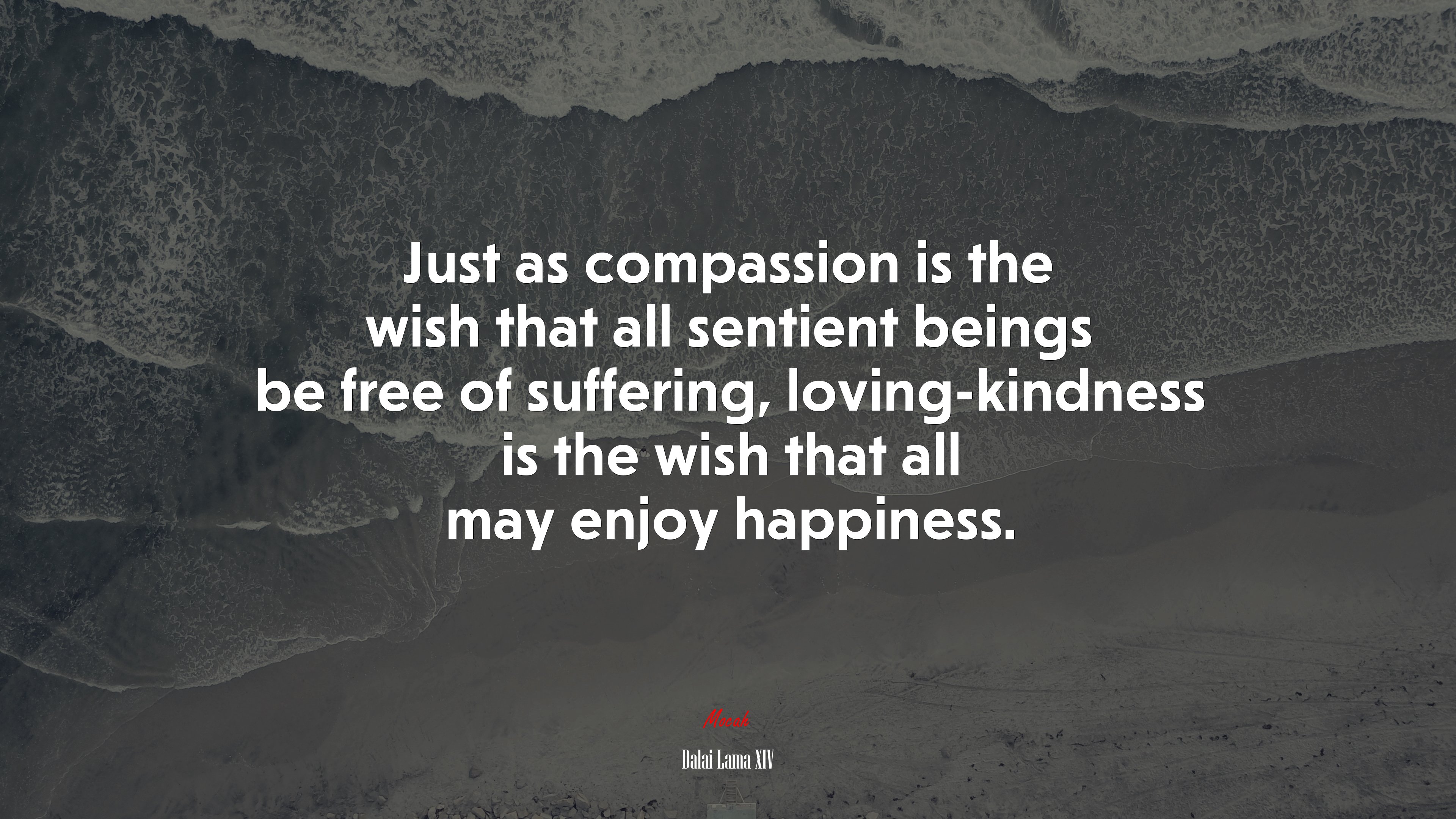 Just as compassion is the wish that all sentient beings be free of suffering, loving-kindness is the wish that all may enjoy happiness. | Dalai Lama XIV quote HD Wallpaper