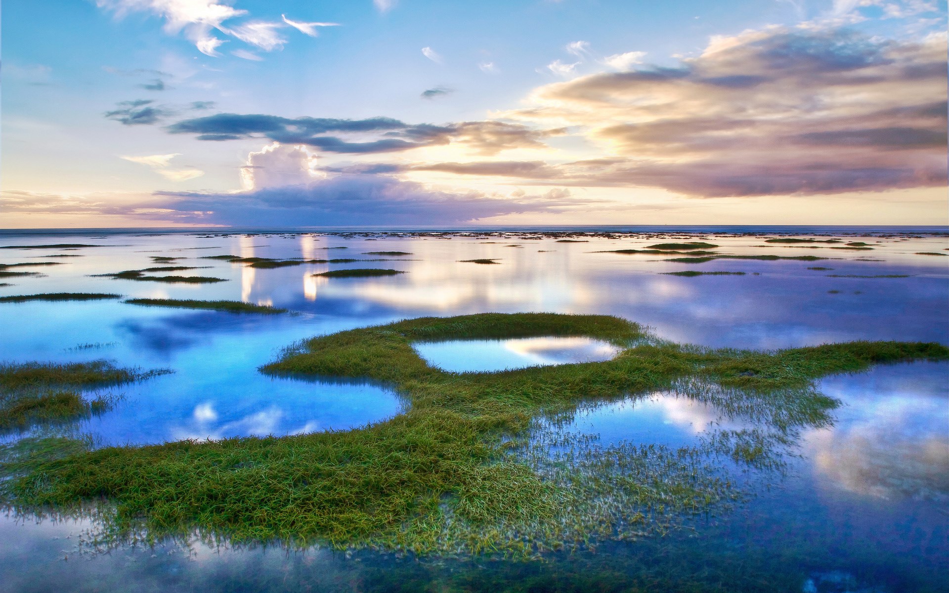 Grassy islands in calm water under a cloudy sky HD Wallpaper