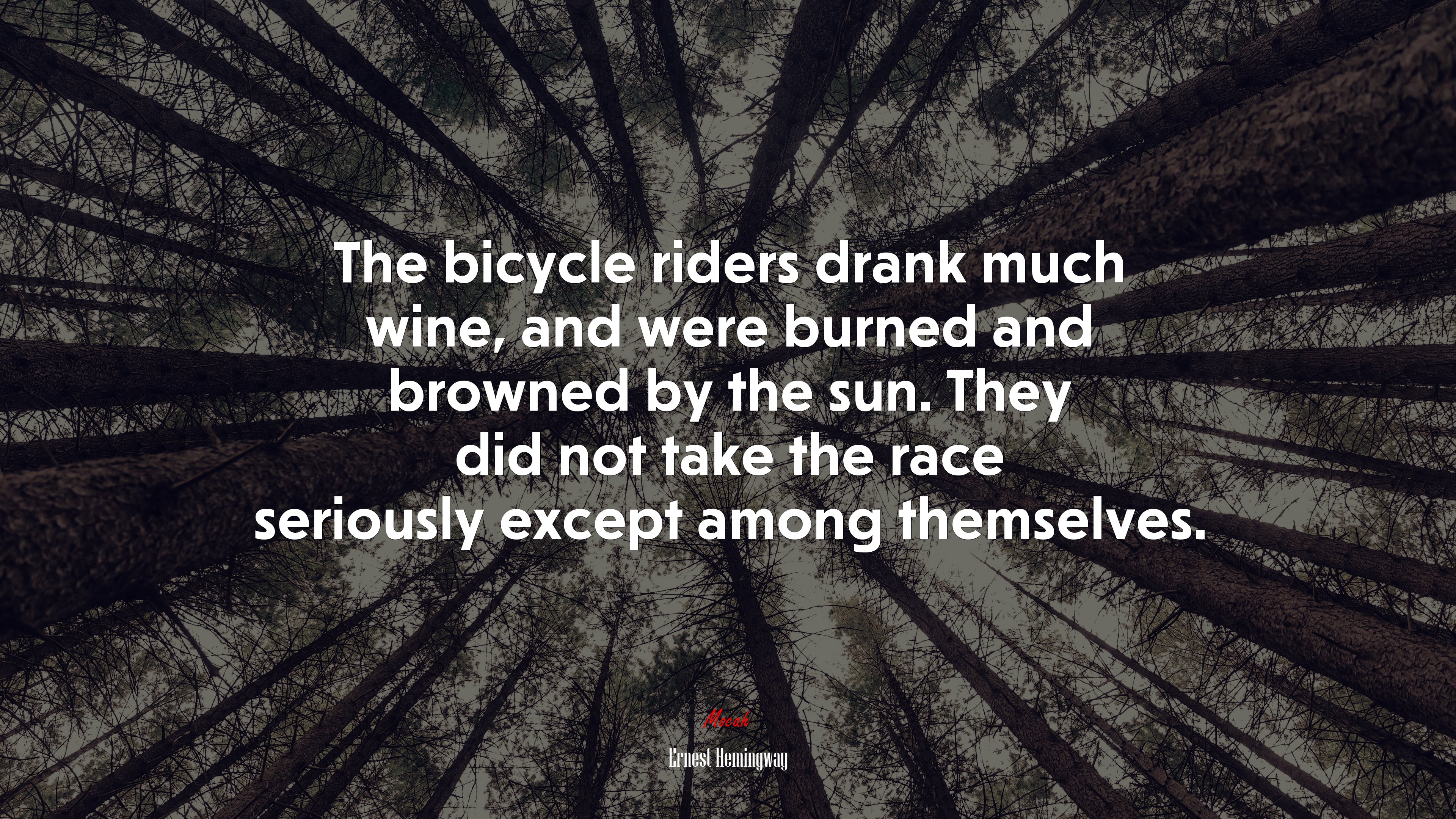 The bicycle riders drank much wine, and were burned and browned by the sun. They did not take the race seriously except among themselves. | Ernest Hemingway quote HD Wallpaper