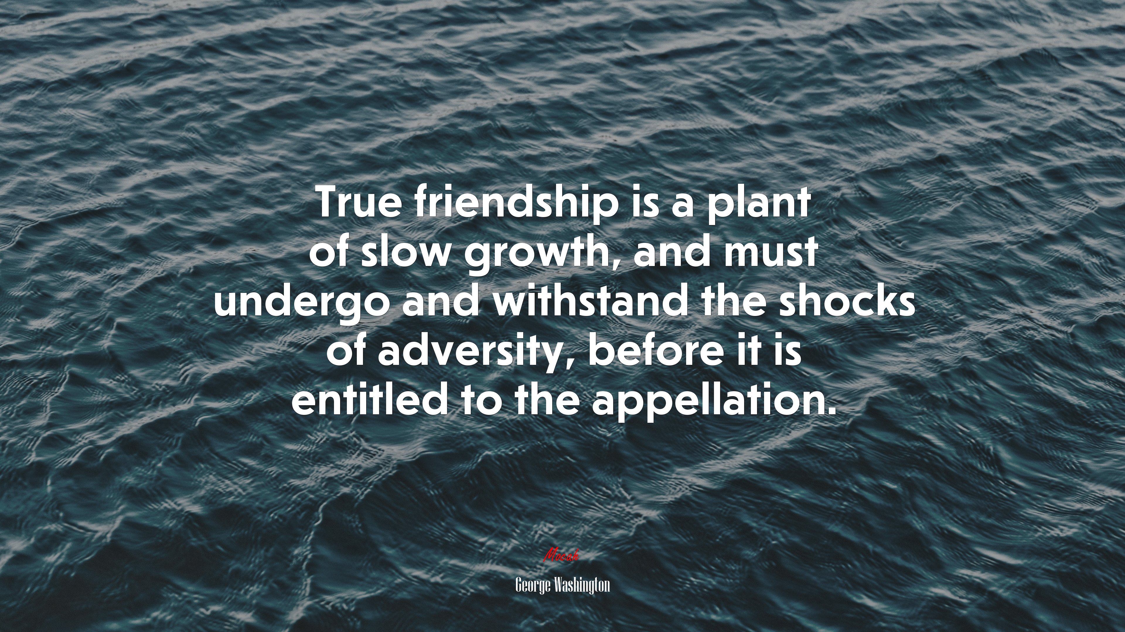 True friendship is a plant of slow growth, and must undergo and withstand the shocks of adversity, before it is entitled to the appellation. | George Washington quote HD Wallpaper