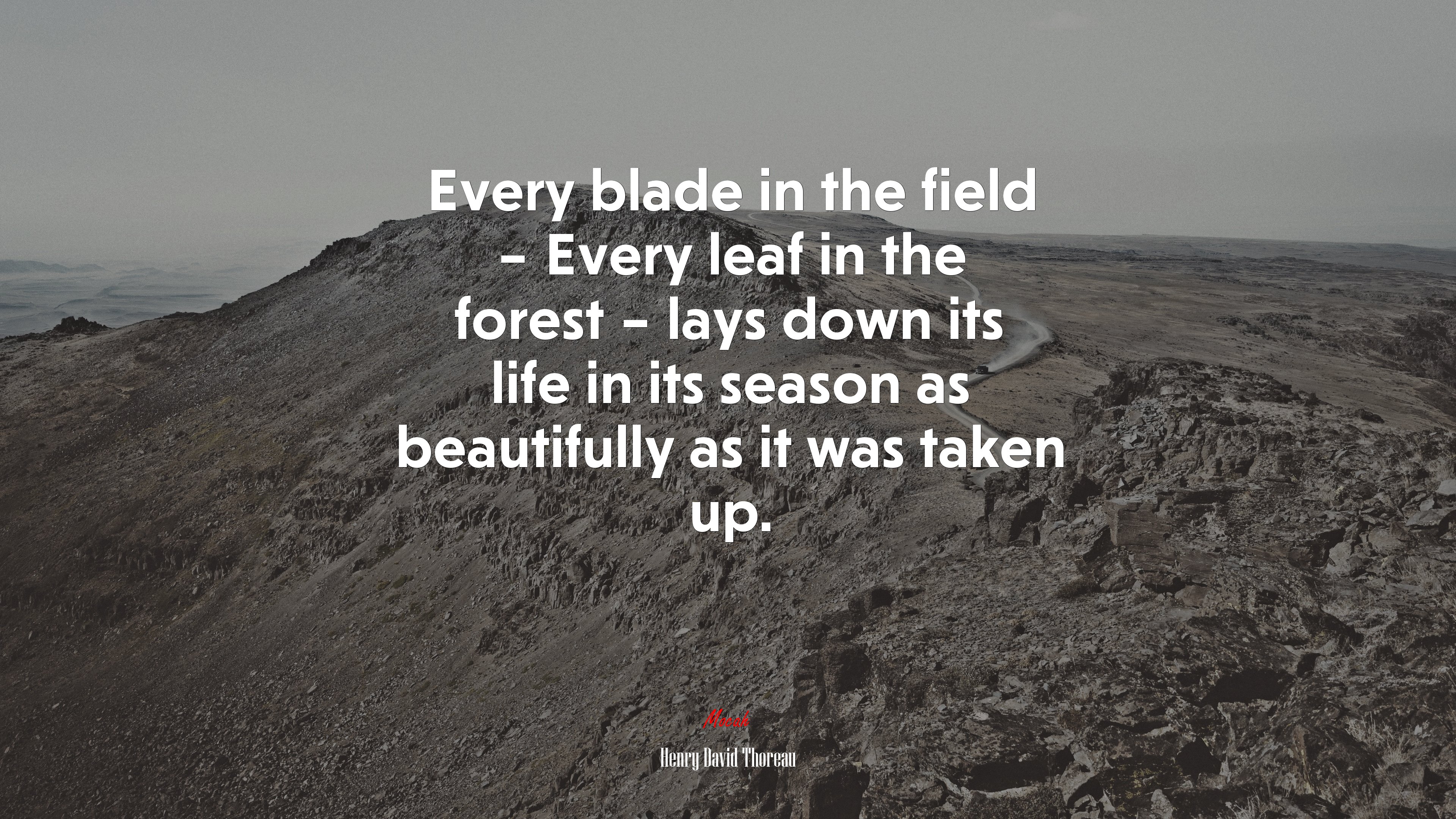 Every blade in the field – Every leaf in the forest – lays down its life in its season as beautifully as it was taken up. | Henry David Thoreau quote HD Wallpaper