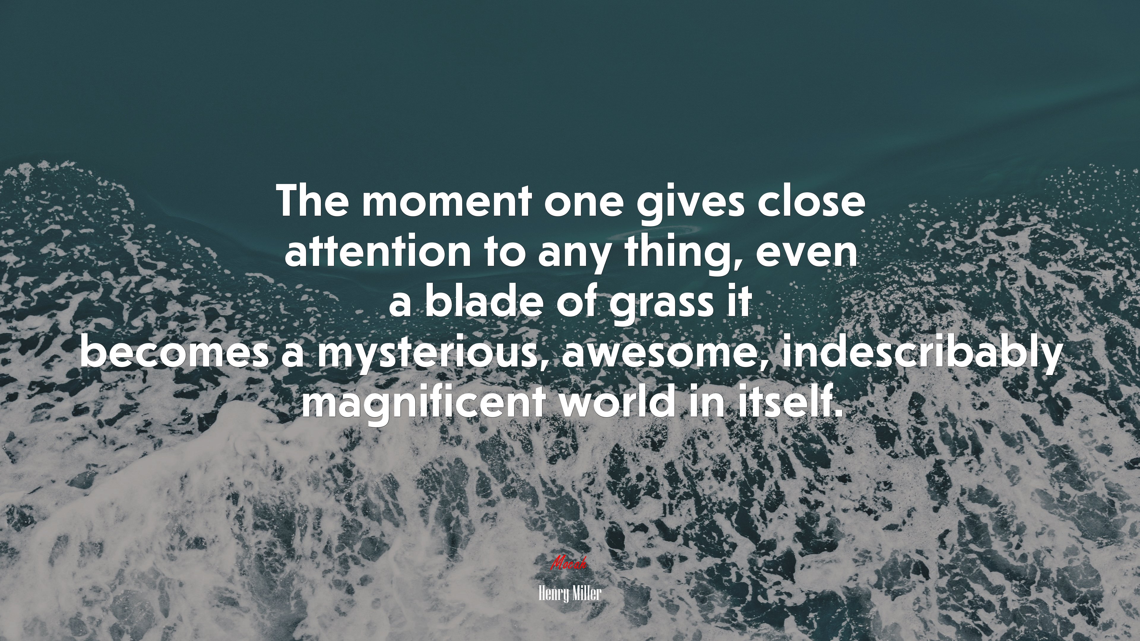 The moment one gives close attention to any thing, even a blade of grass it becomes a mysterious, awesome, indescribably magnificent world in itself. | Henry Miller quote HD Wallpaper