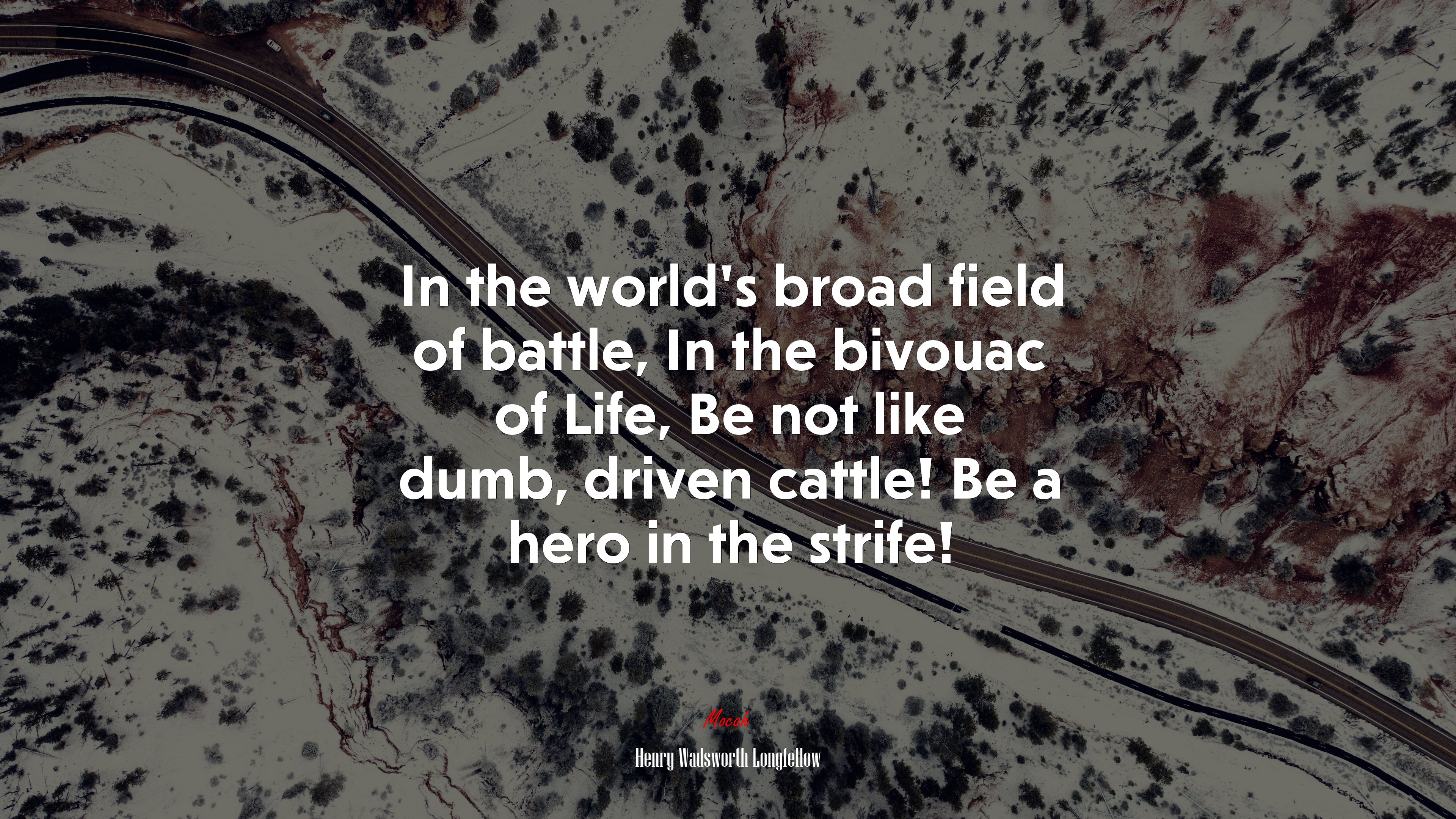 In the world’s broad field of battle, In the bivouac of Life, Be not like dumb, driven cattle! Be a hero in the strife! | Henry Wadsworth Longfellow quote HD Wallpaper