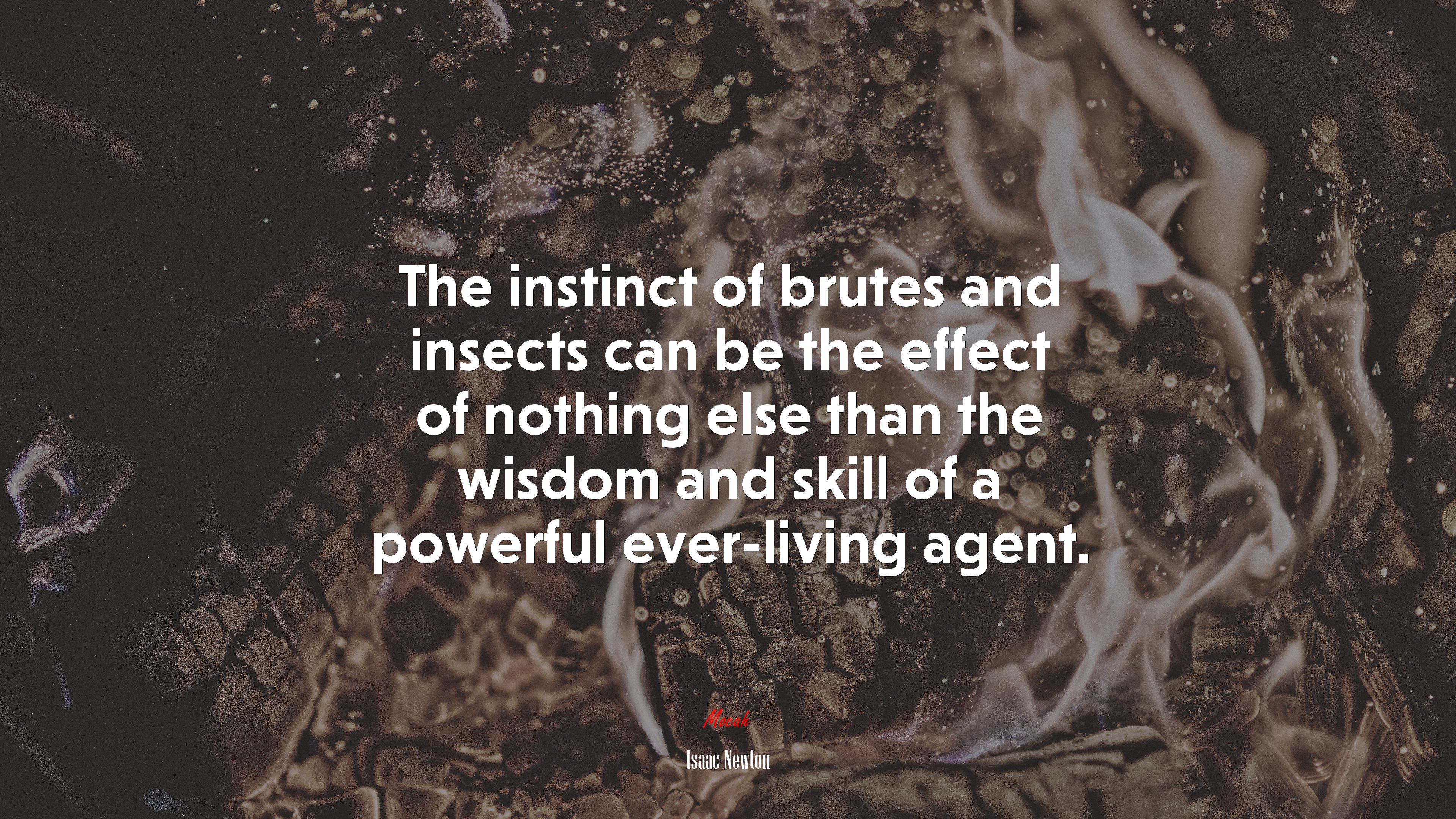 The instinct of brutes and insects can be the effect of nothing else than the wisdom and skill of a powerful ever-living agent. | Isaac Newton quote HD Wallpaper
