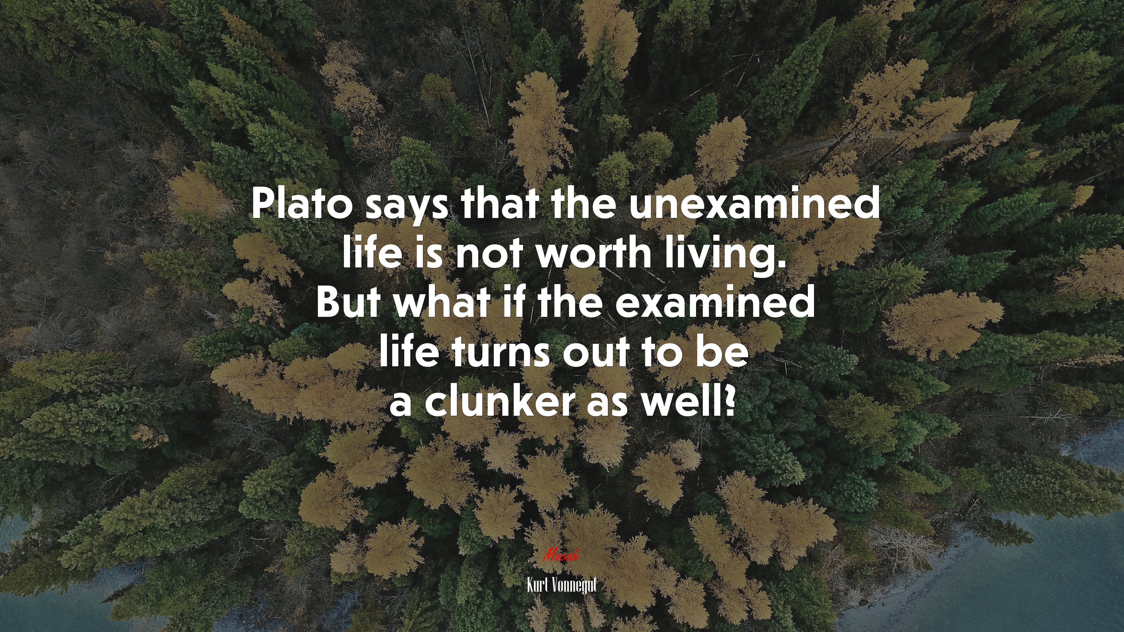 Plato says that the unexamined life is not worth living. But what if the examined life turns out to be a clunker as well? | Kurt Vonnegut quote HD Wallpaper