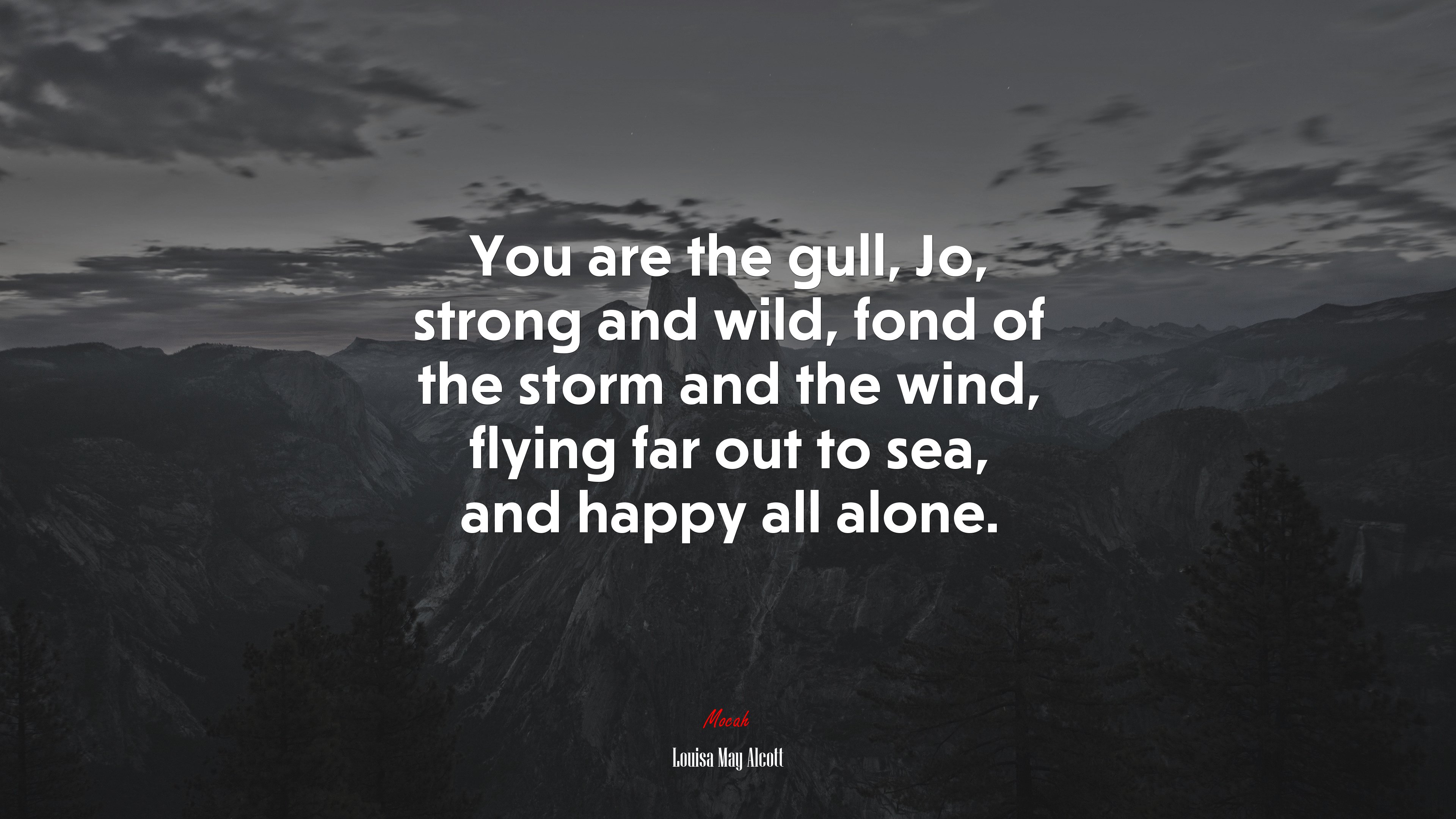 You are the gull, Jo, strong and wild, fond of the storm and the wind, flying far out to sea, and happy all alone. | Louisa May Alcott quote HD Wallpaper
