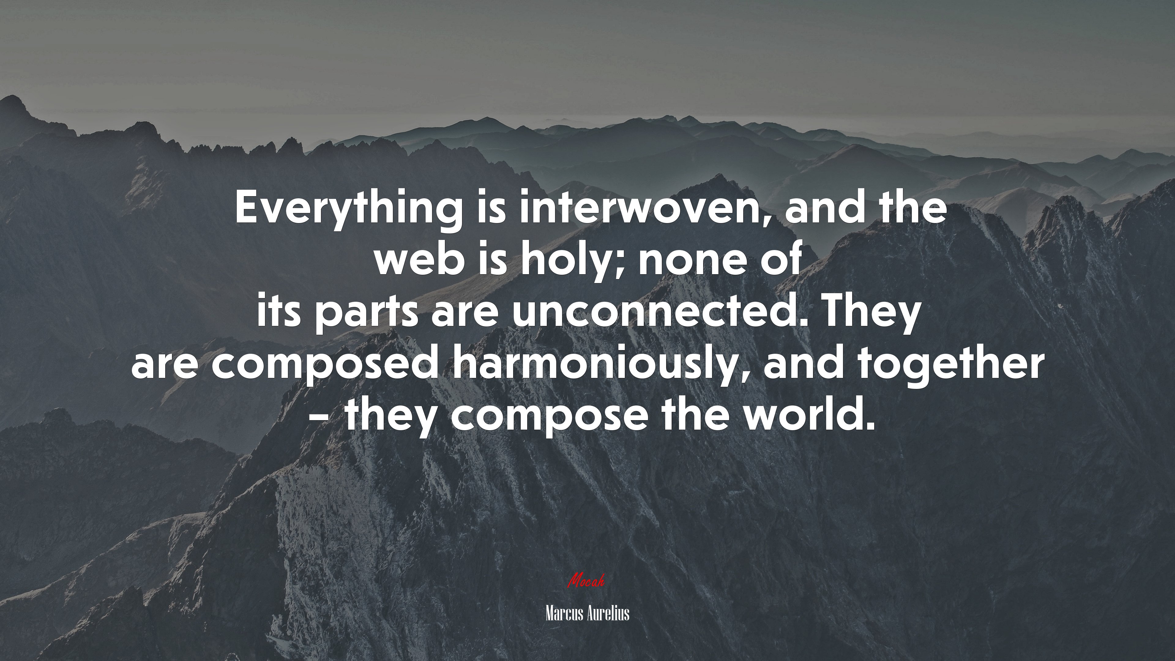 Everything is interwoven, and the web is holy; none of its parts are unconnected. They are composed harmoniously, and together – they compose the world. | Marcus Aurelius quote HD Wallpaper