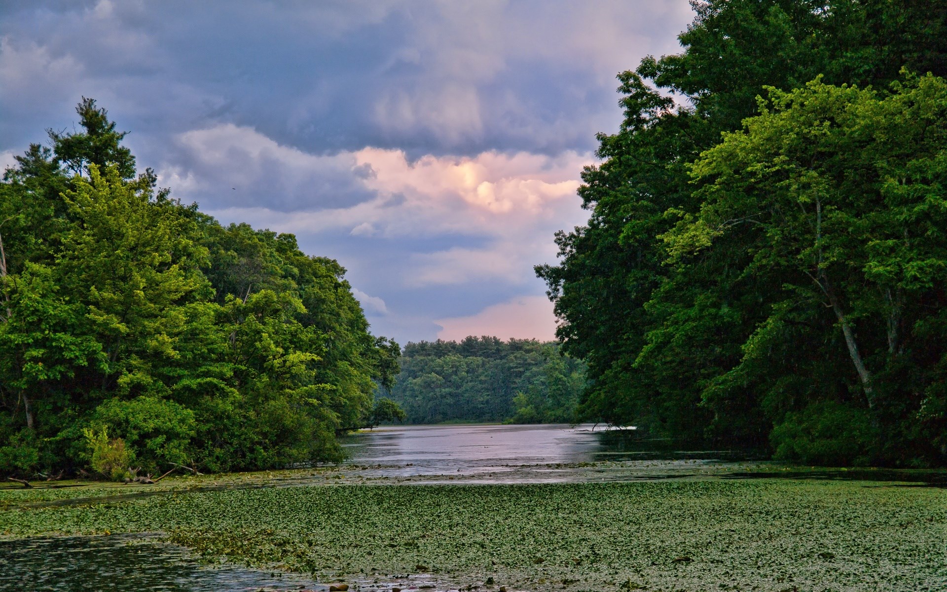 A tranquil lake surrounded by dense green trees under a cloudy sky. HD Wallpaper