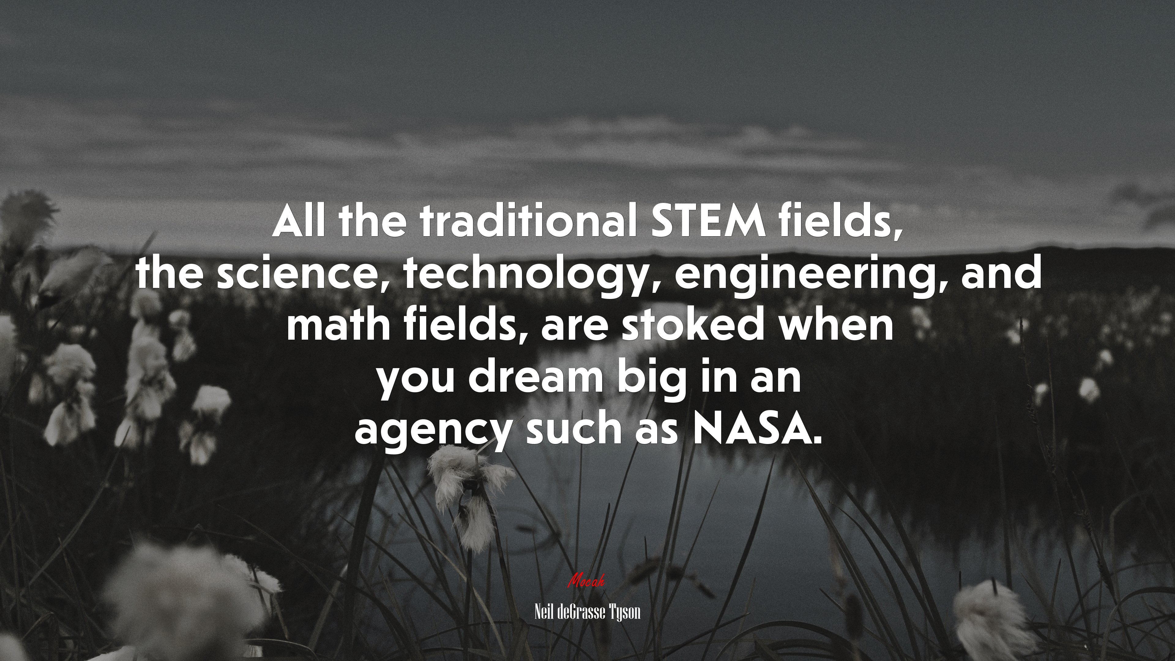 All the traditional STEM fields, the science, technology, engineering, and math fields, are stoked when you dream big in an agency such as NASA. | Neil deGrasse Tyson quote HD Wallpaper