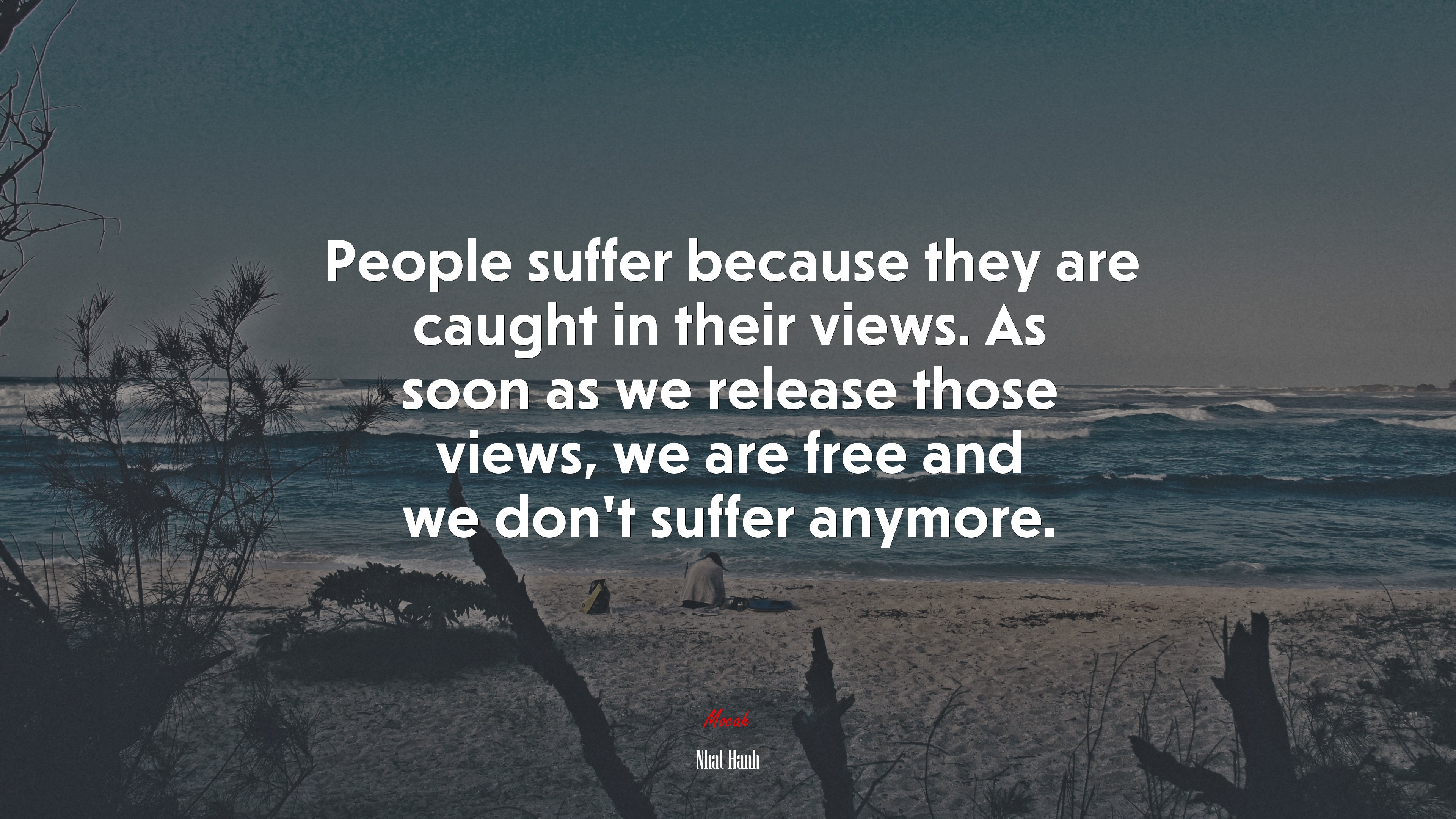 People suffer because they are caught in their views. As soon as we release those views, we are free and we don’t suffer anymore. | Nhat Hanh quote HD Wallpaper