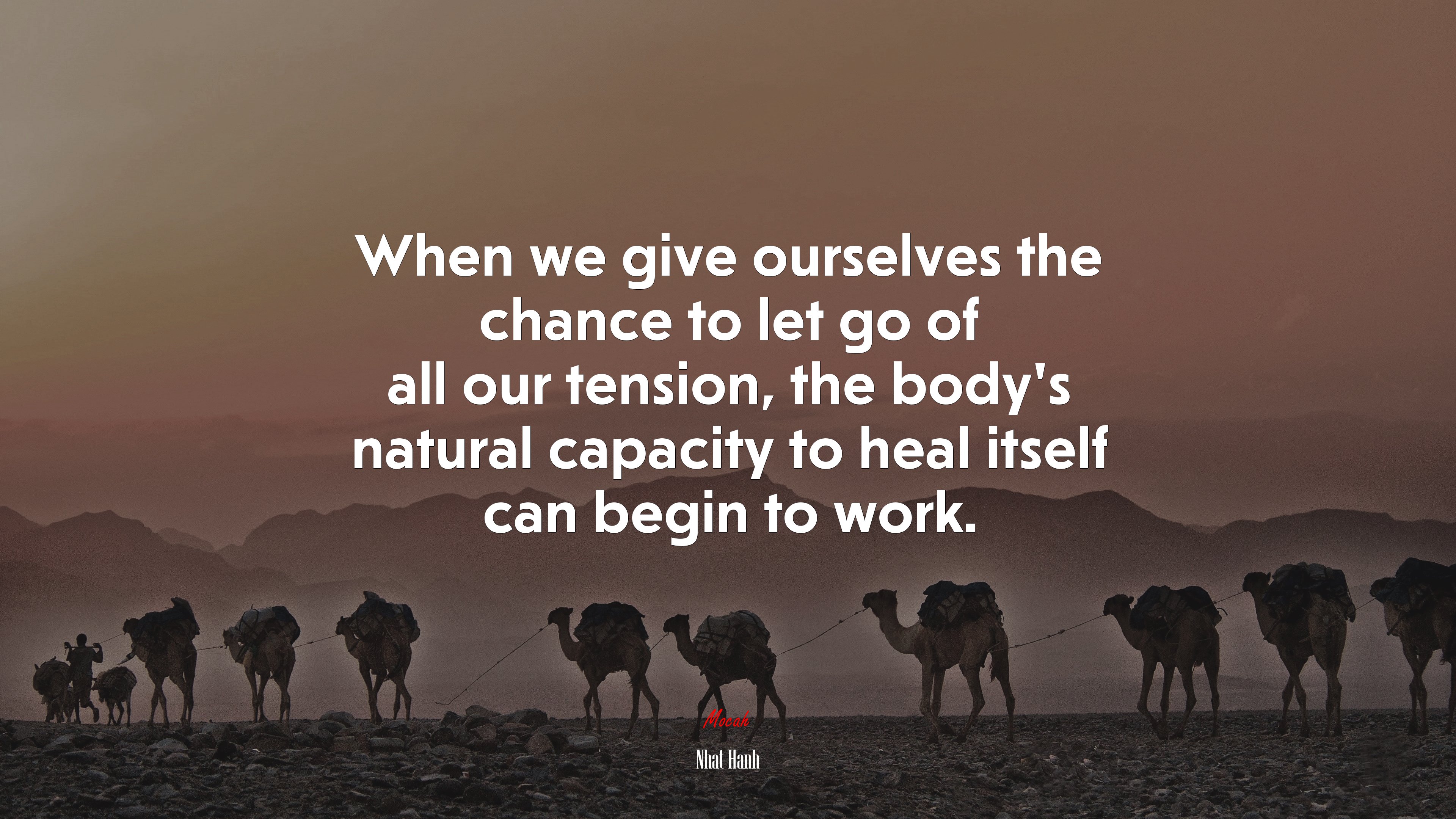 When we give ourselves the chance to let go of all our tension, the body’s natural capacity to heal itself can begin to work. | Nhat Hanh quote HD Wallpaper