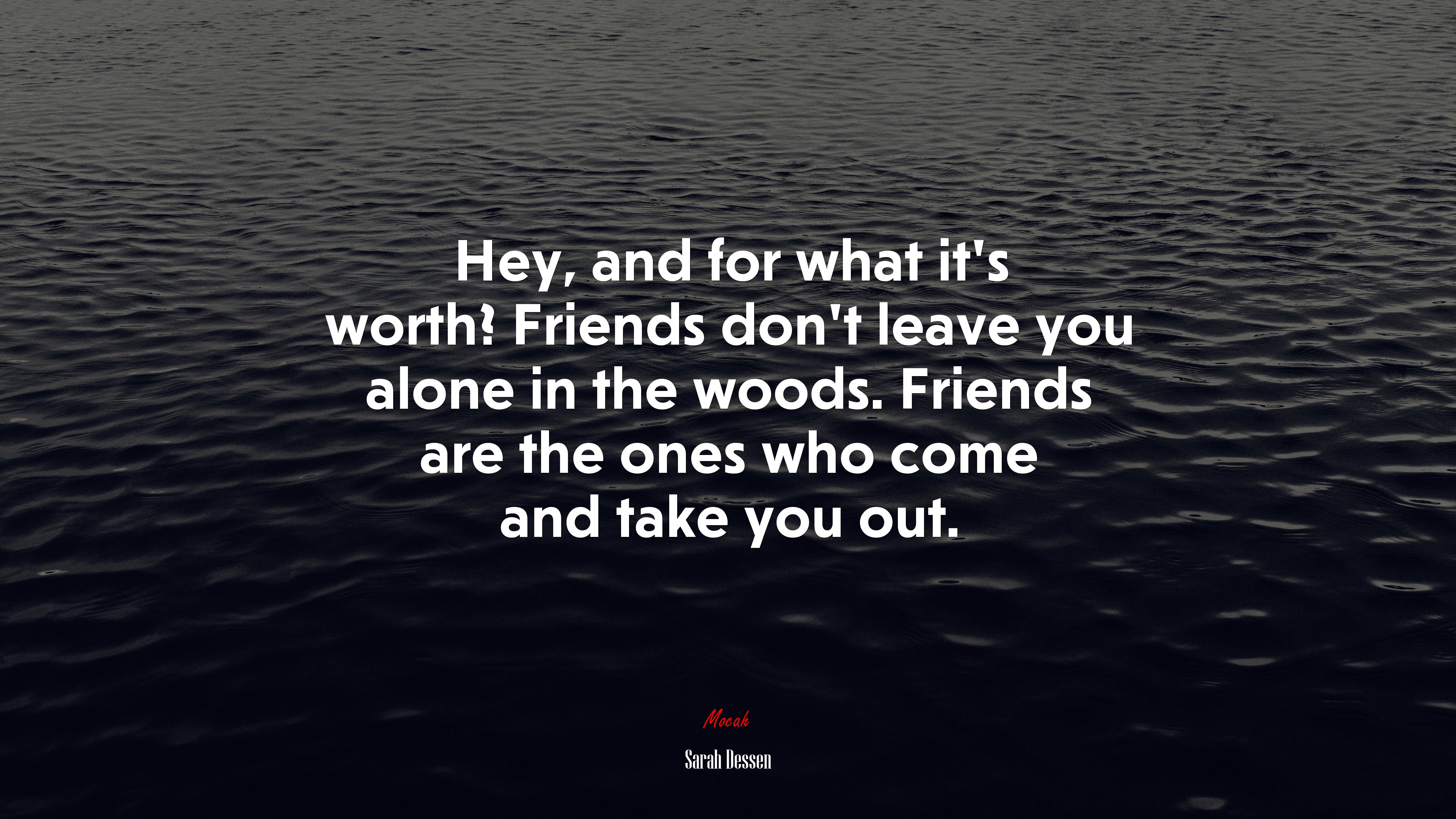 Hey, and for what it’s worth? Friends don’t leave you alone in the woods. Friends are the ones who come and take you out. | Sarah Dessen quote HD Wallpaper
