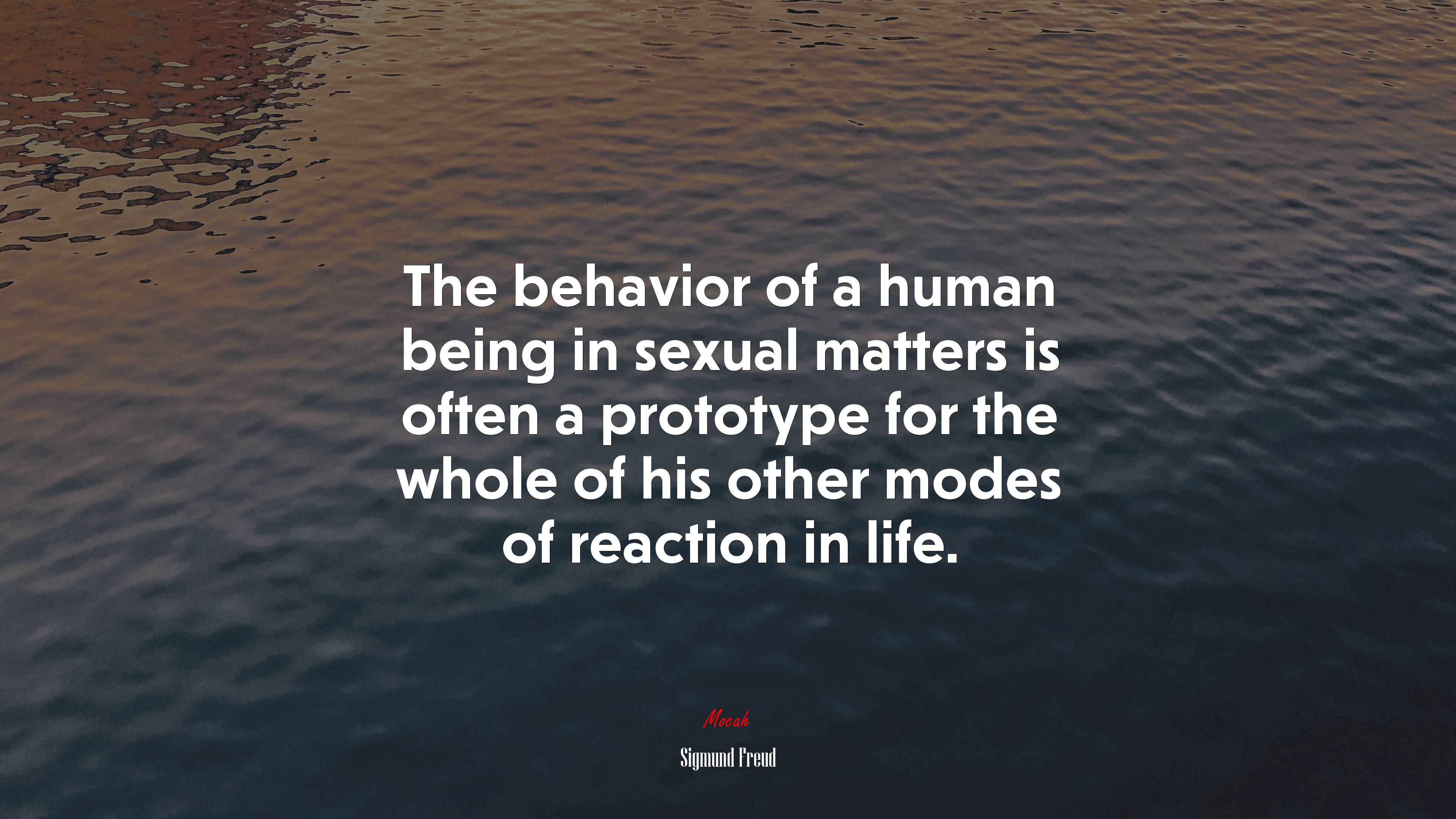 The behavior of a human being in sexual matters is often a prototype for the whole of his other modes of reaction in life. | Sigmund Freud quote HD Wallpaper