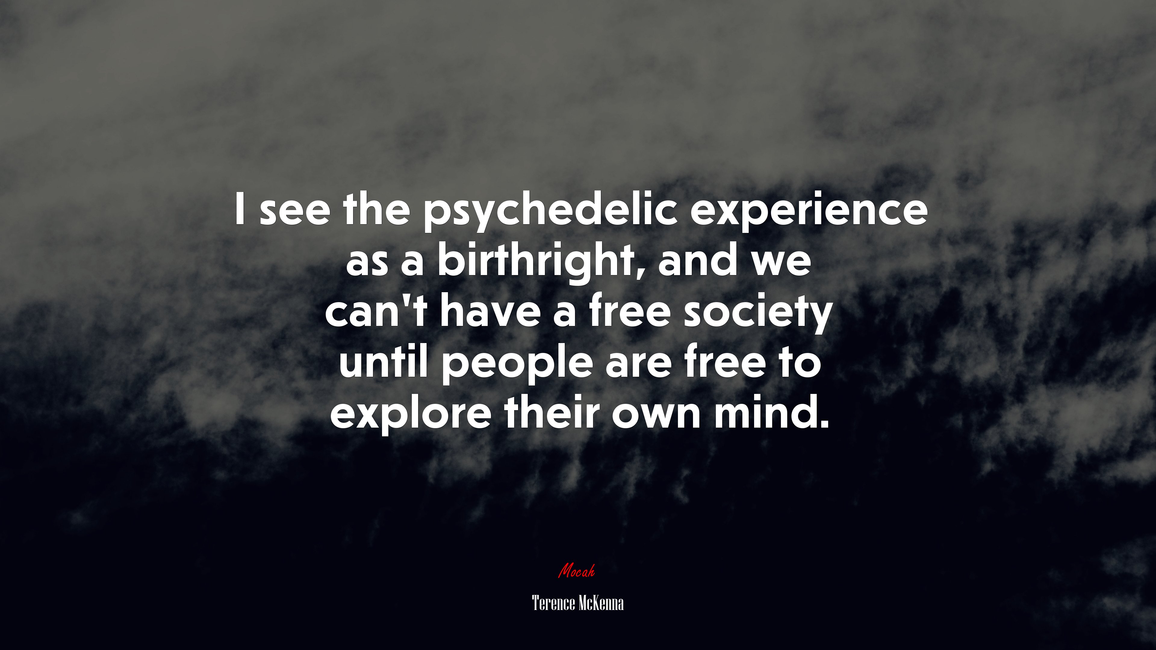 I see the psychedelic experience as a birthright, and we can’t have a free society until people are free to explore their own mind. | Terence McKenna quote HD Wallpaper