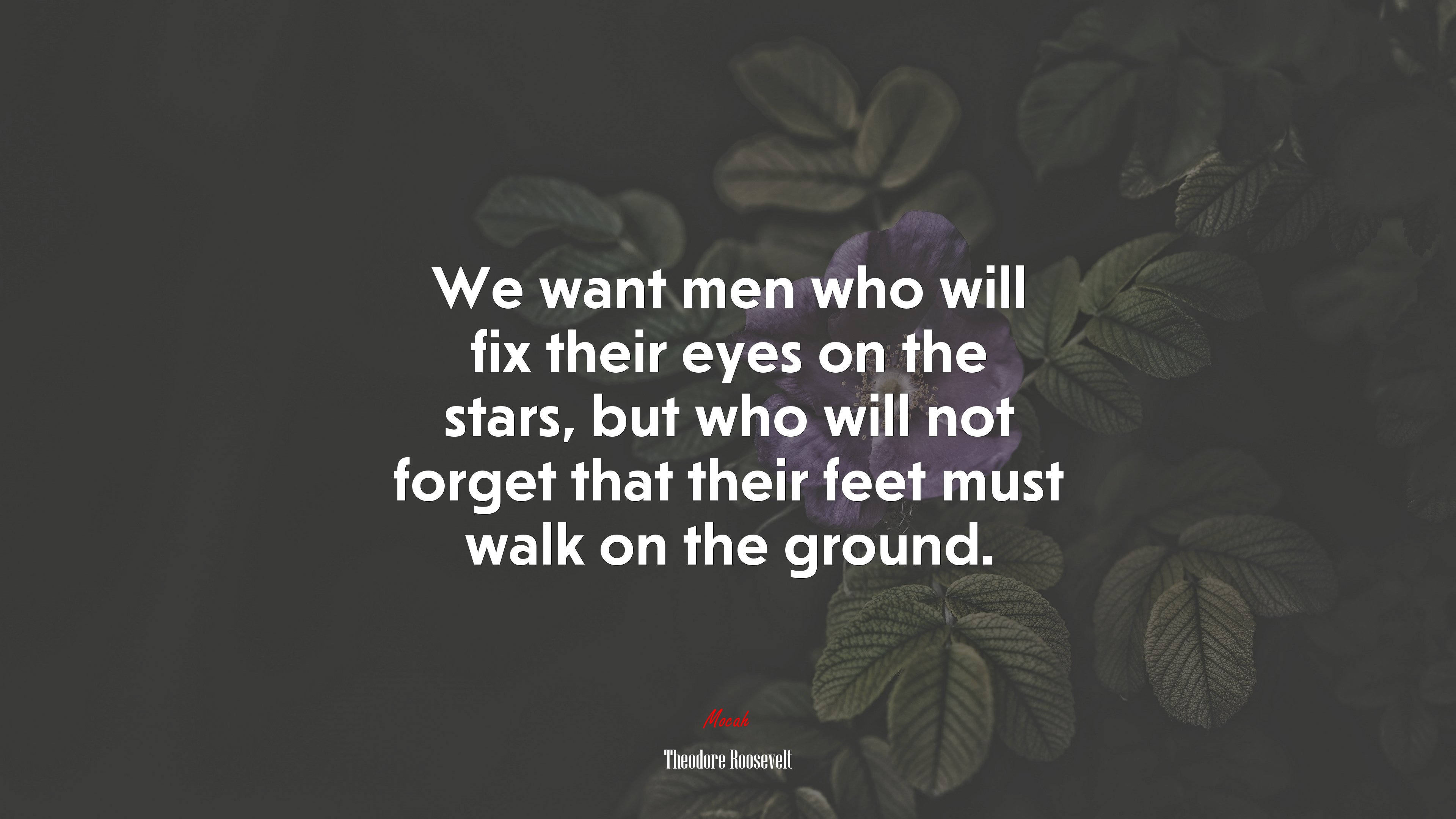 We want men who will fix their eyes on the stars, but who will not forget that their feet must walk on the ground. | Theodore Roosevelt quote HD Wallpaper