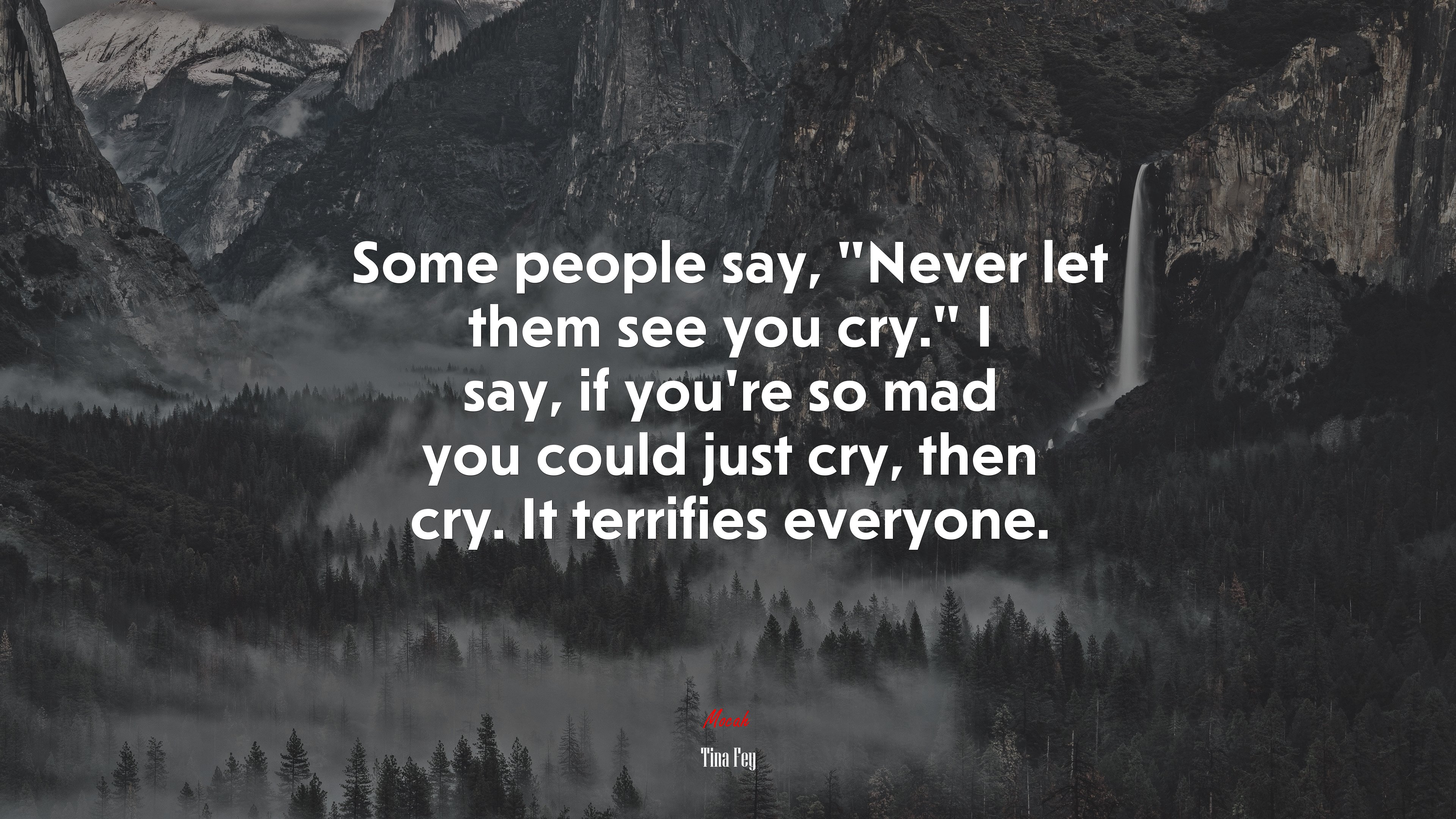 Some people say, “Never let them see you cry.” I say, if you’re so mad you could just cry, then cry. It terrifies everyone. | Tina Fey quote HD Wallpaper