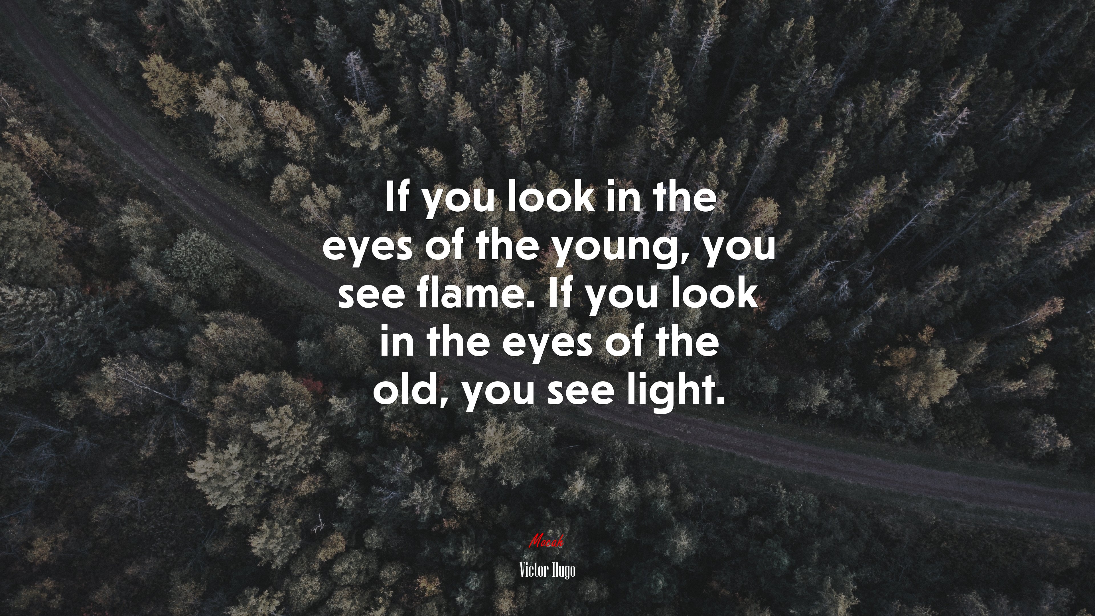 If you look in the eyes of the young, you see flame. If you look in the eyes of the old, you see light. | Victor Hugo quote HD Wallpaper