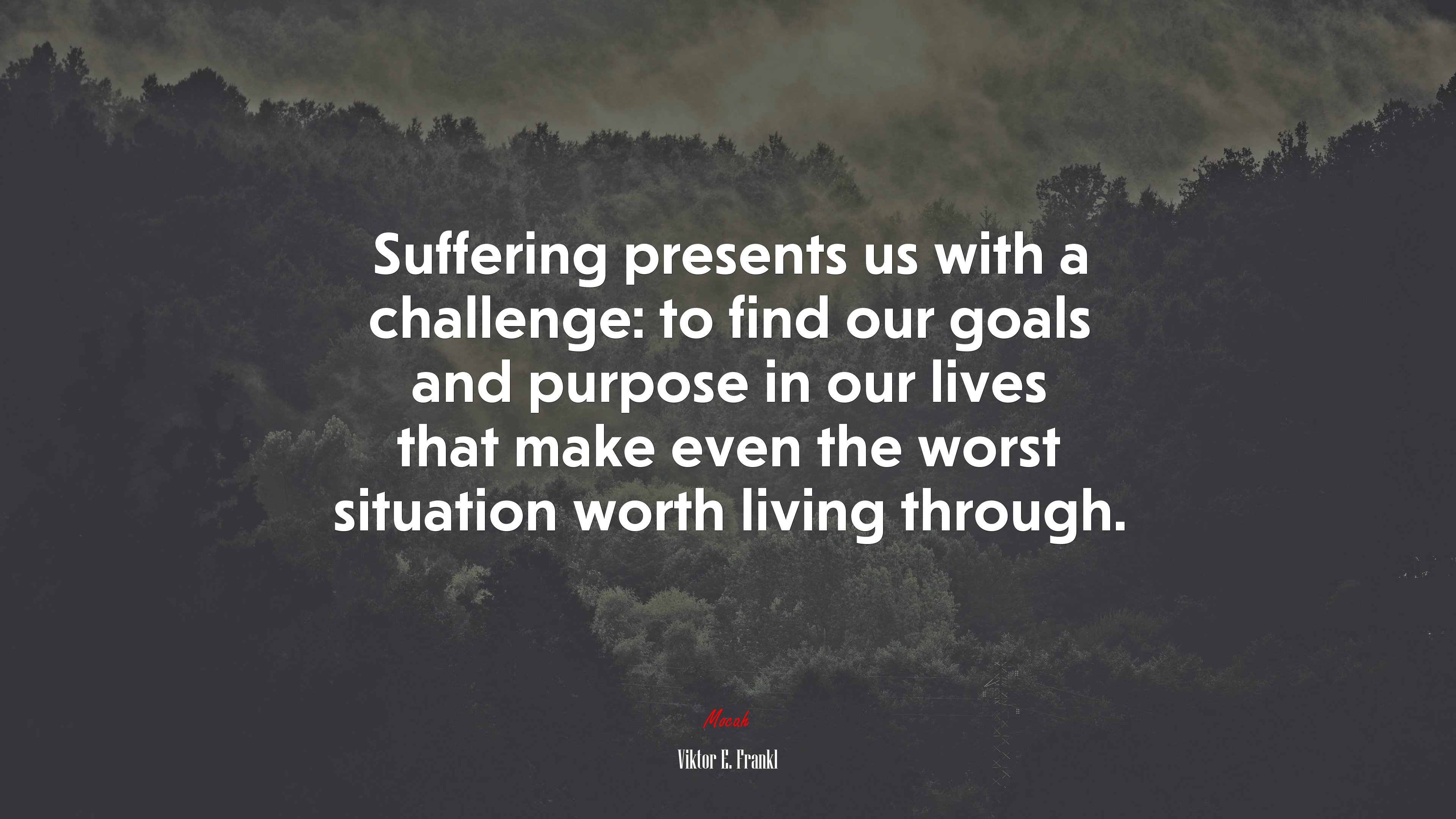Suffering presents us with a challenge: to find our goals and purpose in our lives that make even the worst situation worth living through. | Viktor E. Frankl quote HD Wallpaper