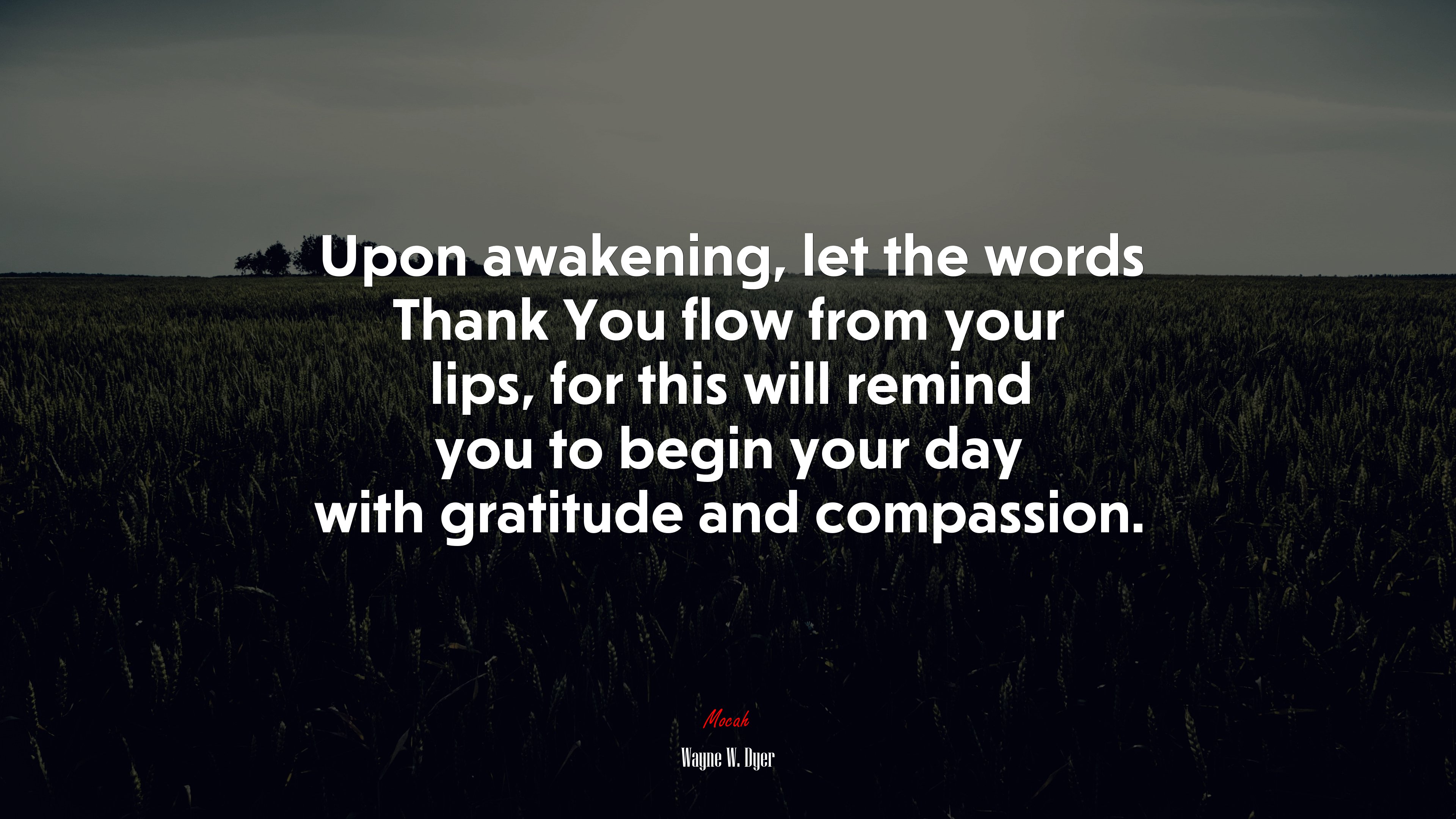 Upon awakening, let the words Thank You flow from your lips, for this will remind you to begin your day with gratitude and compassion. | Wayne W. Dyer quote HD Wallpaper